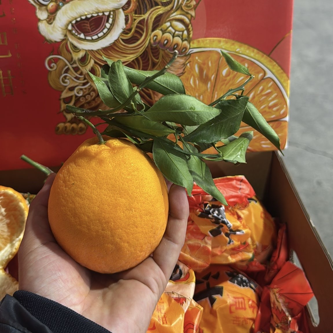 China Chun Jian Pa Pa Gan Mandarin 4KG