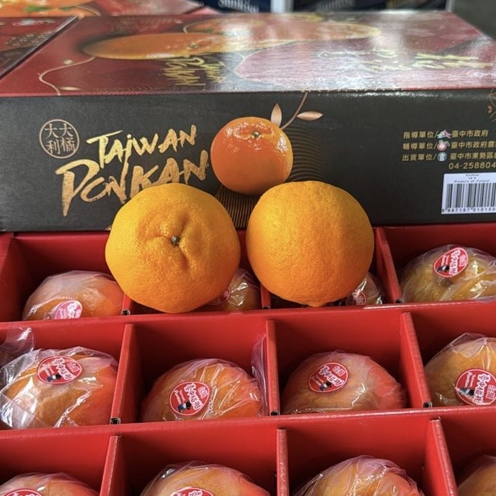 Taiwan Ponkan Mandarin 12/16 Pcs