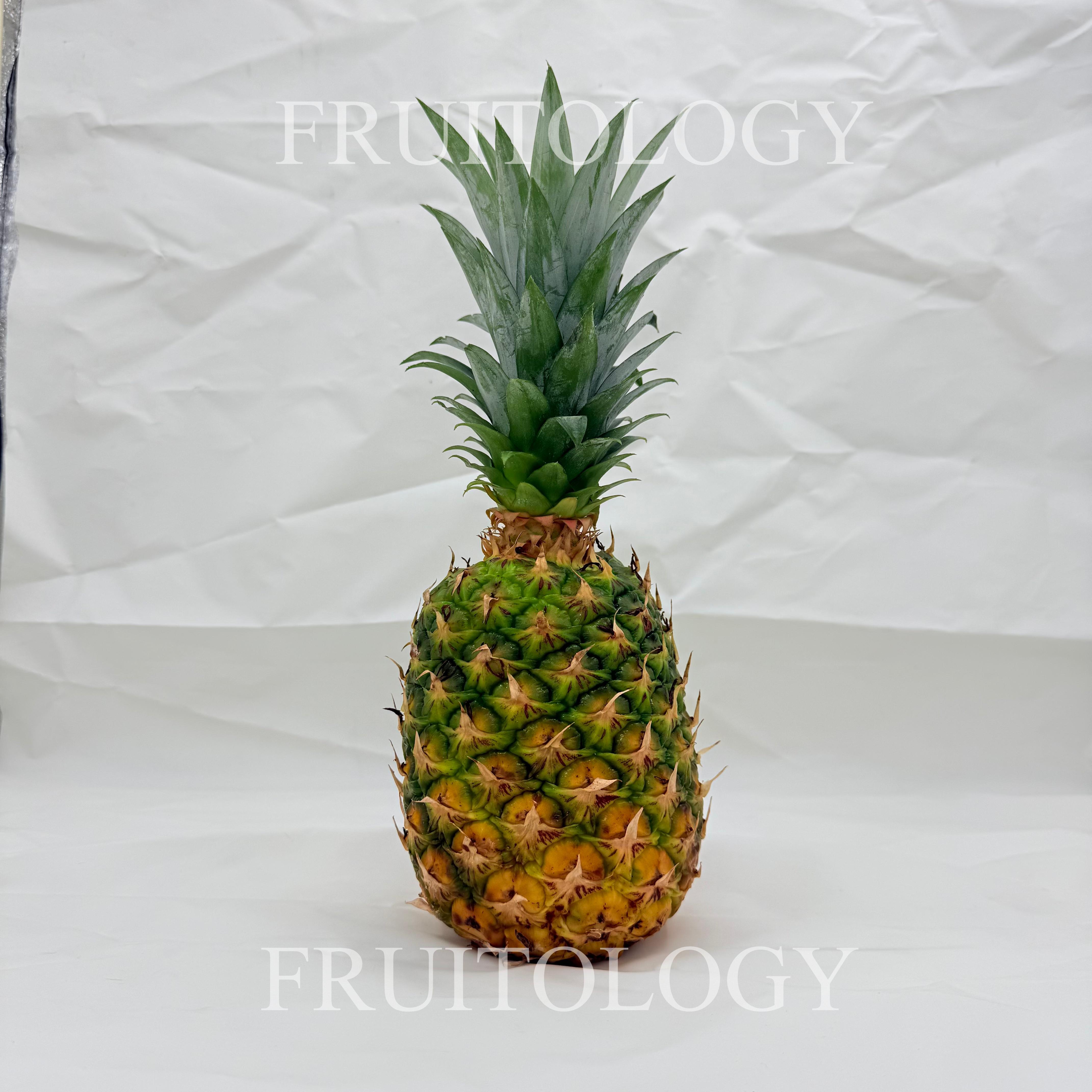 Indonesia Honey Pineapple