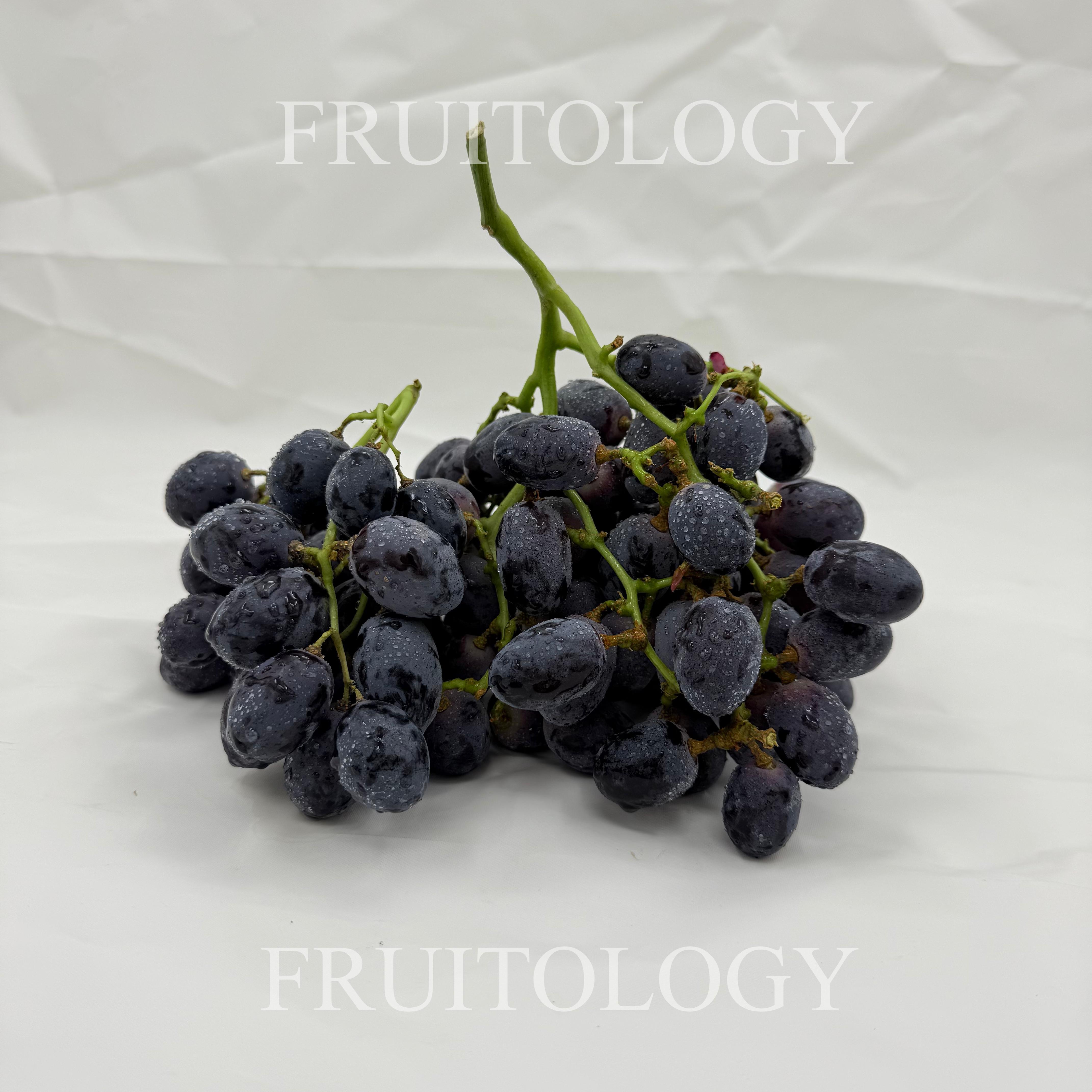 USA Autumn Royal Black SL Grapes