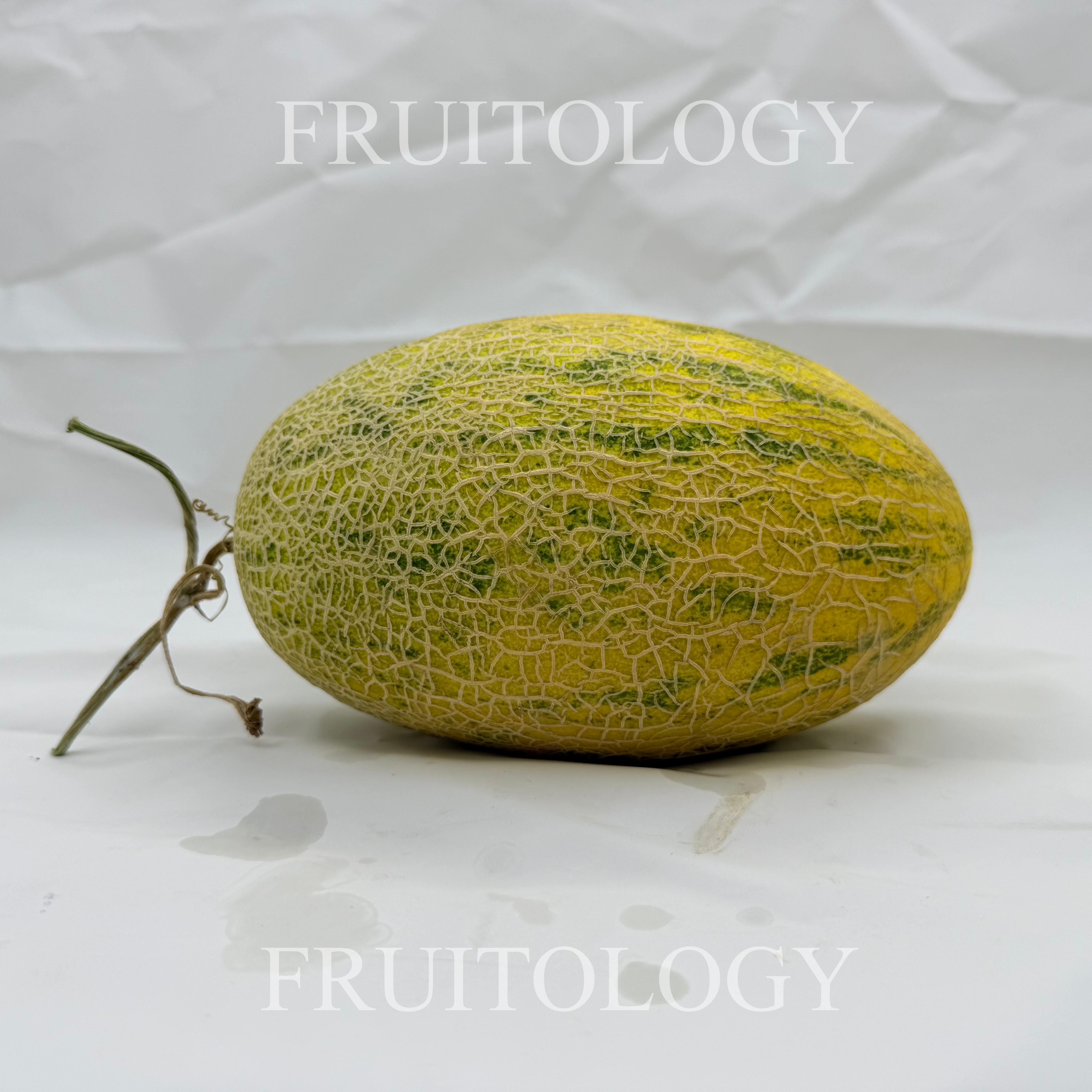 China Hami Melon