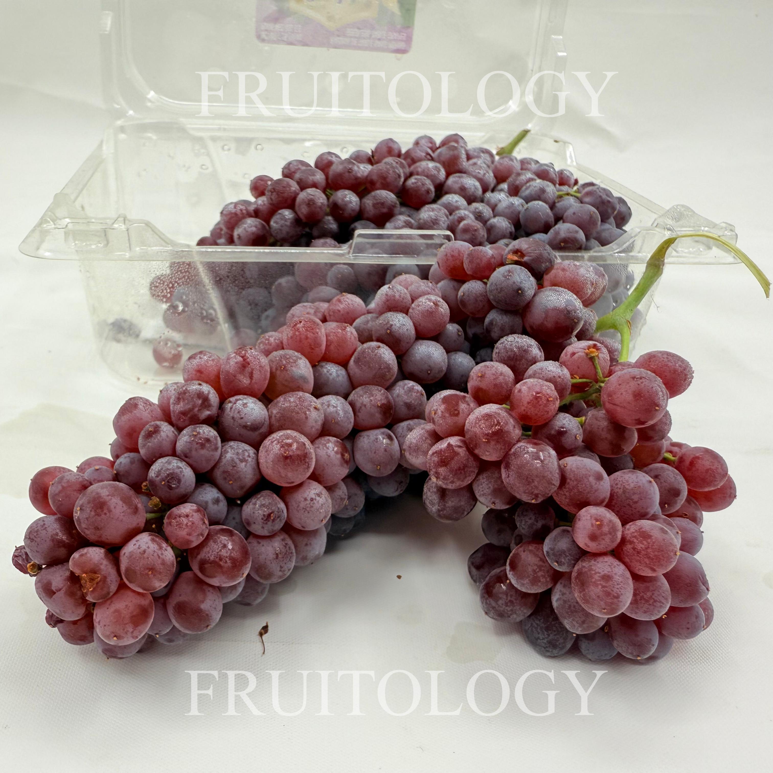 USA Champagne Grapes