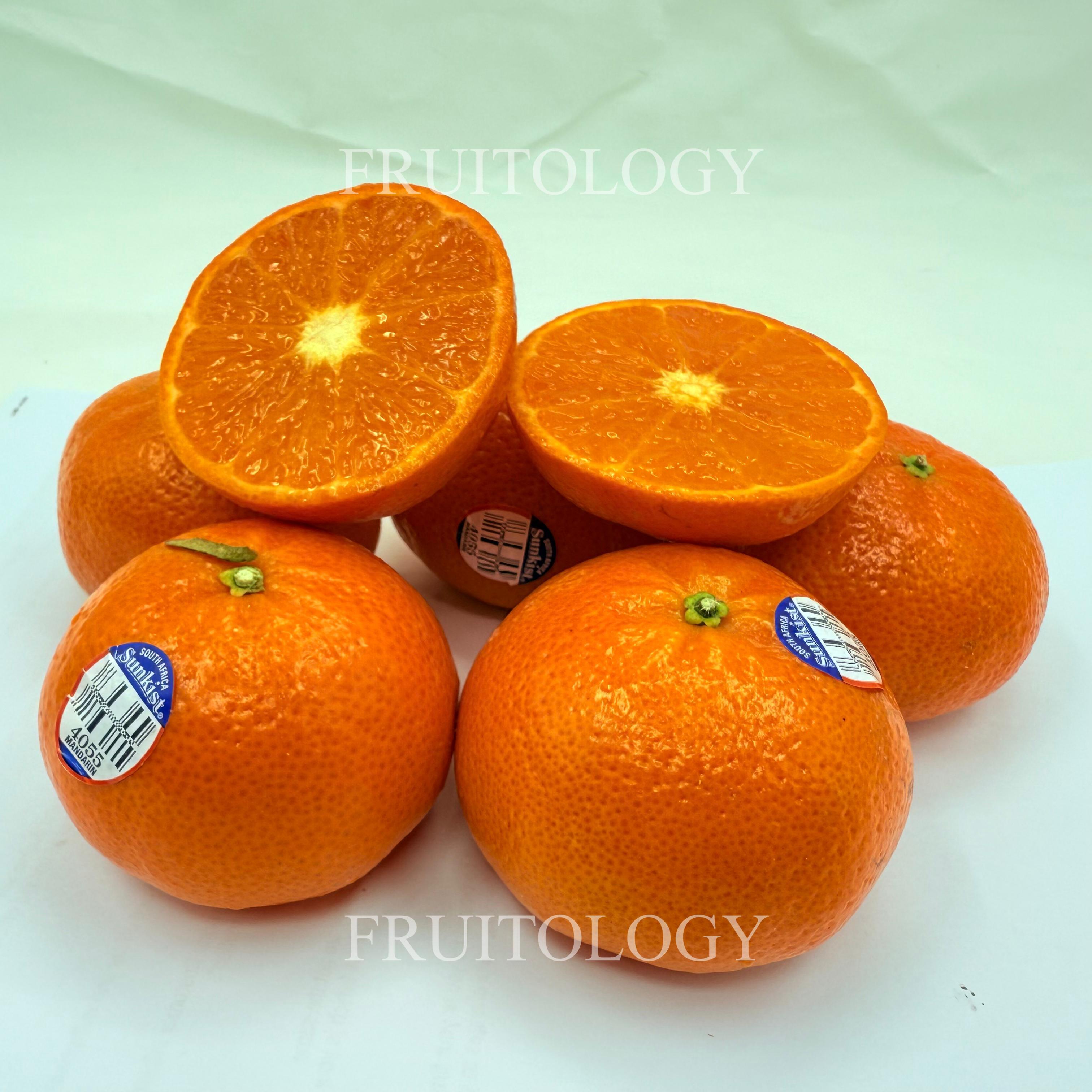 Sunkist Nadorcott Mandarin Orange from South Africa