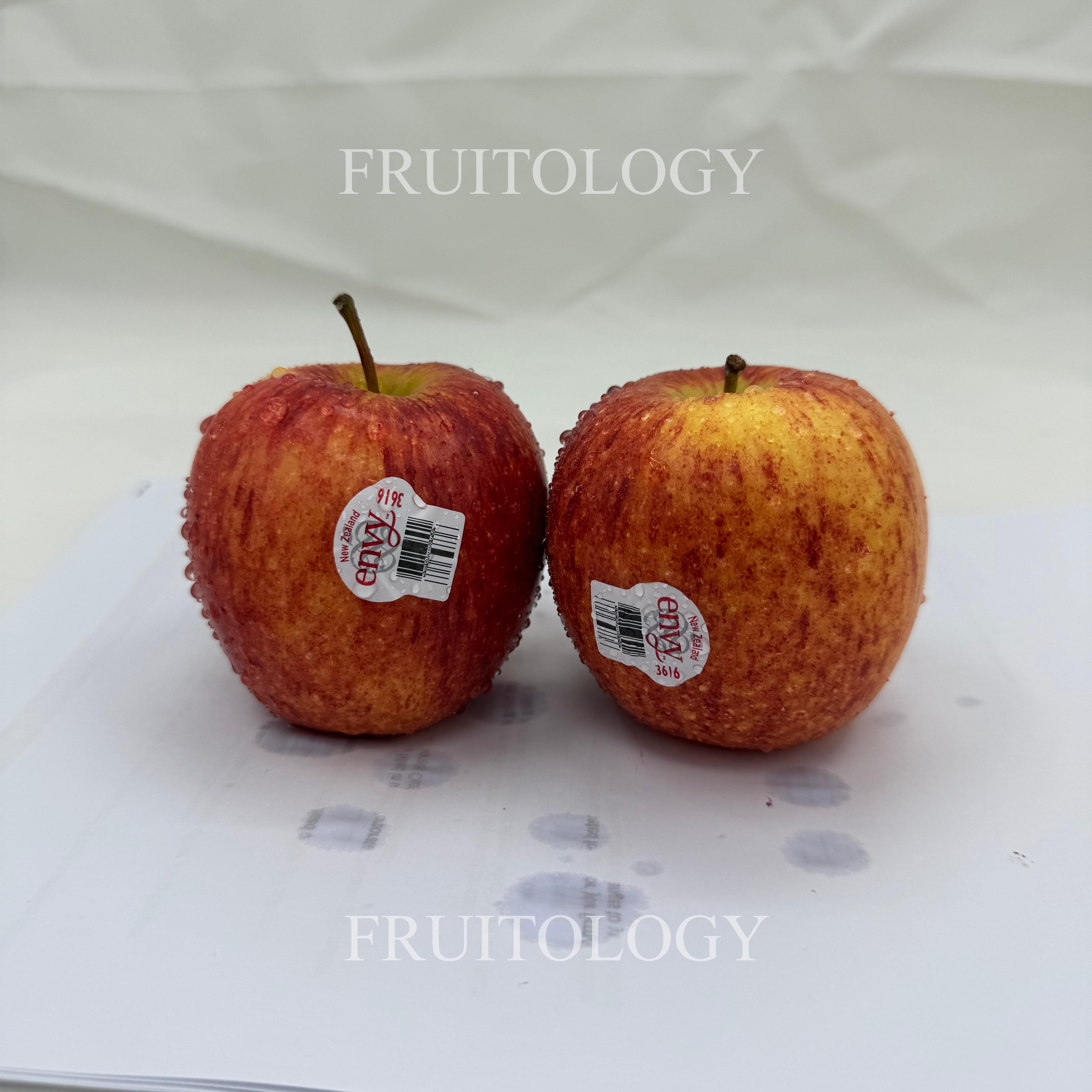 New Zealand Envy Apple