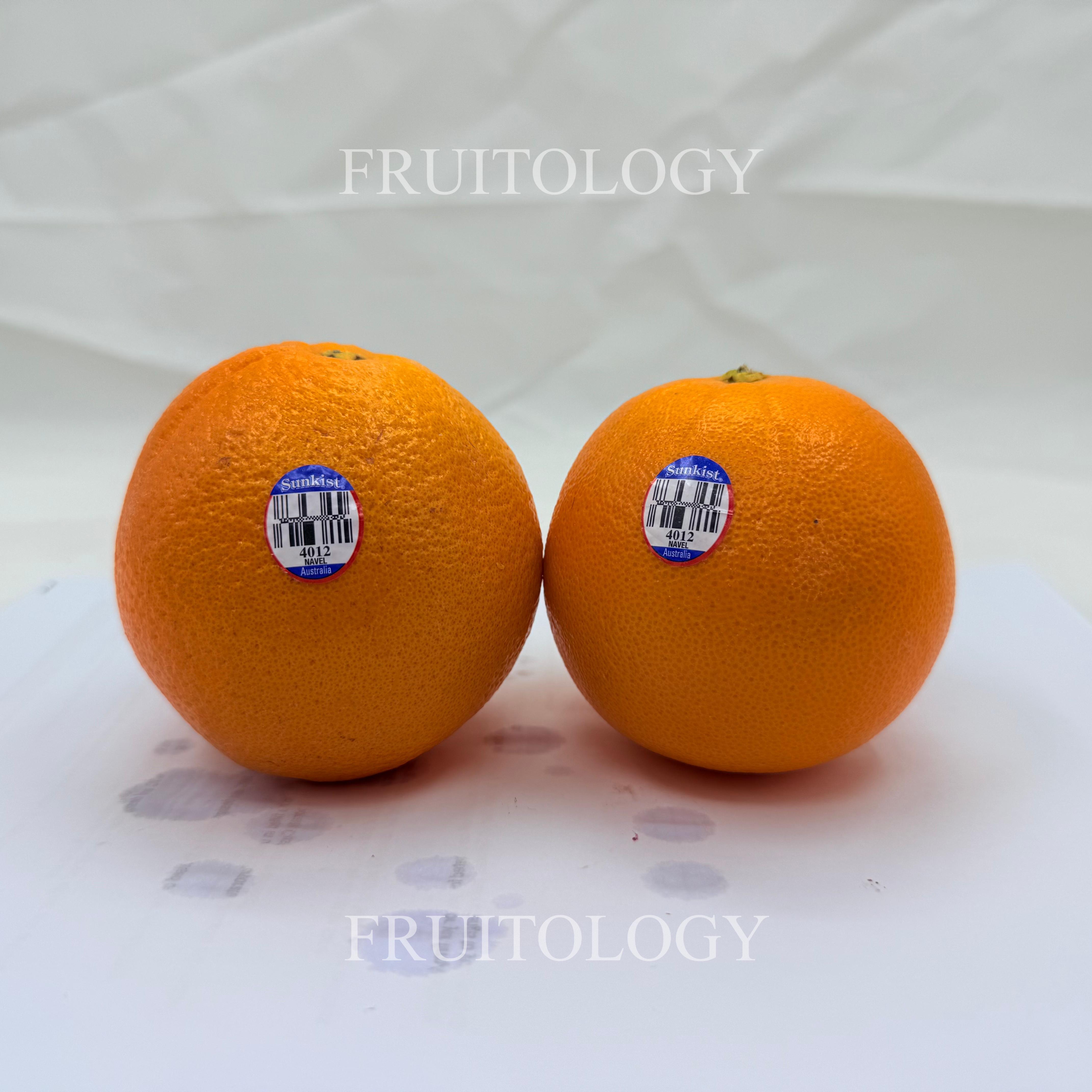 Australia Sunkist Navel Orange