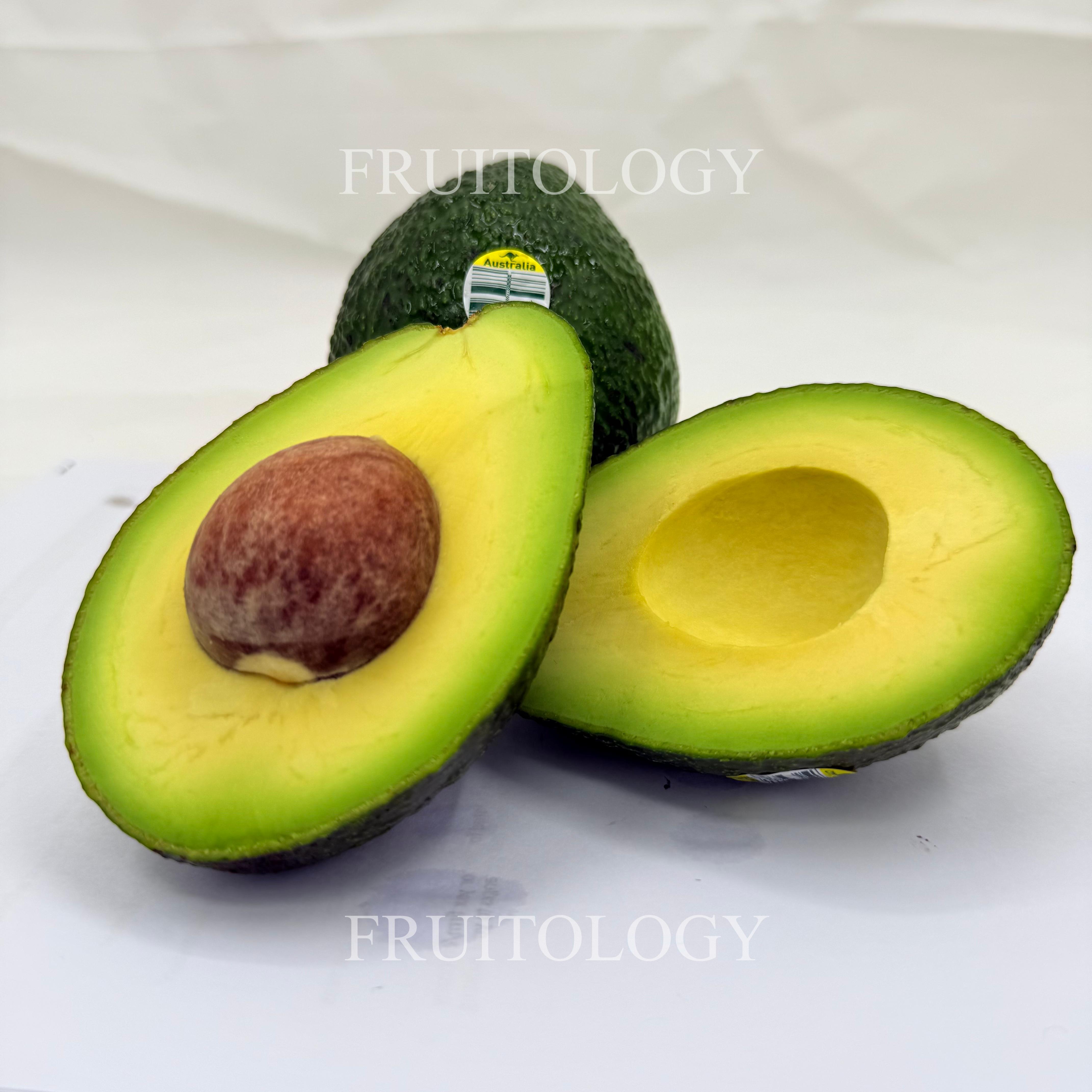 Large Haas Avocado (Australia)