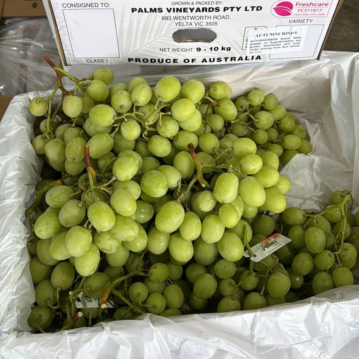 Aust Autumn Crips Green Grape