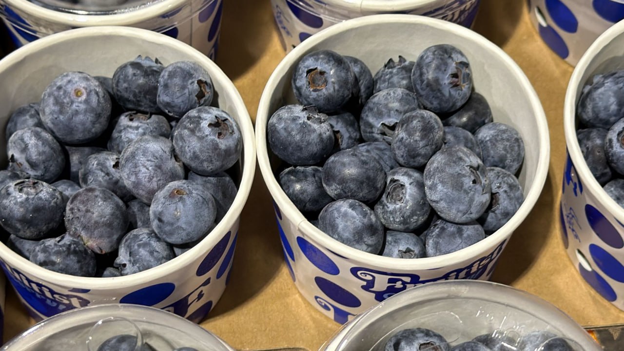 China Blueberry