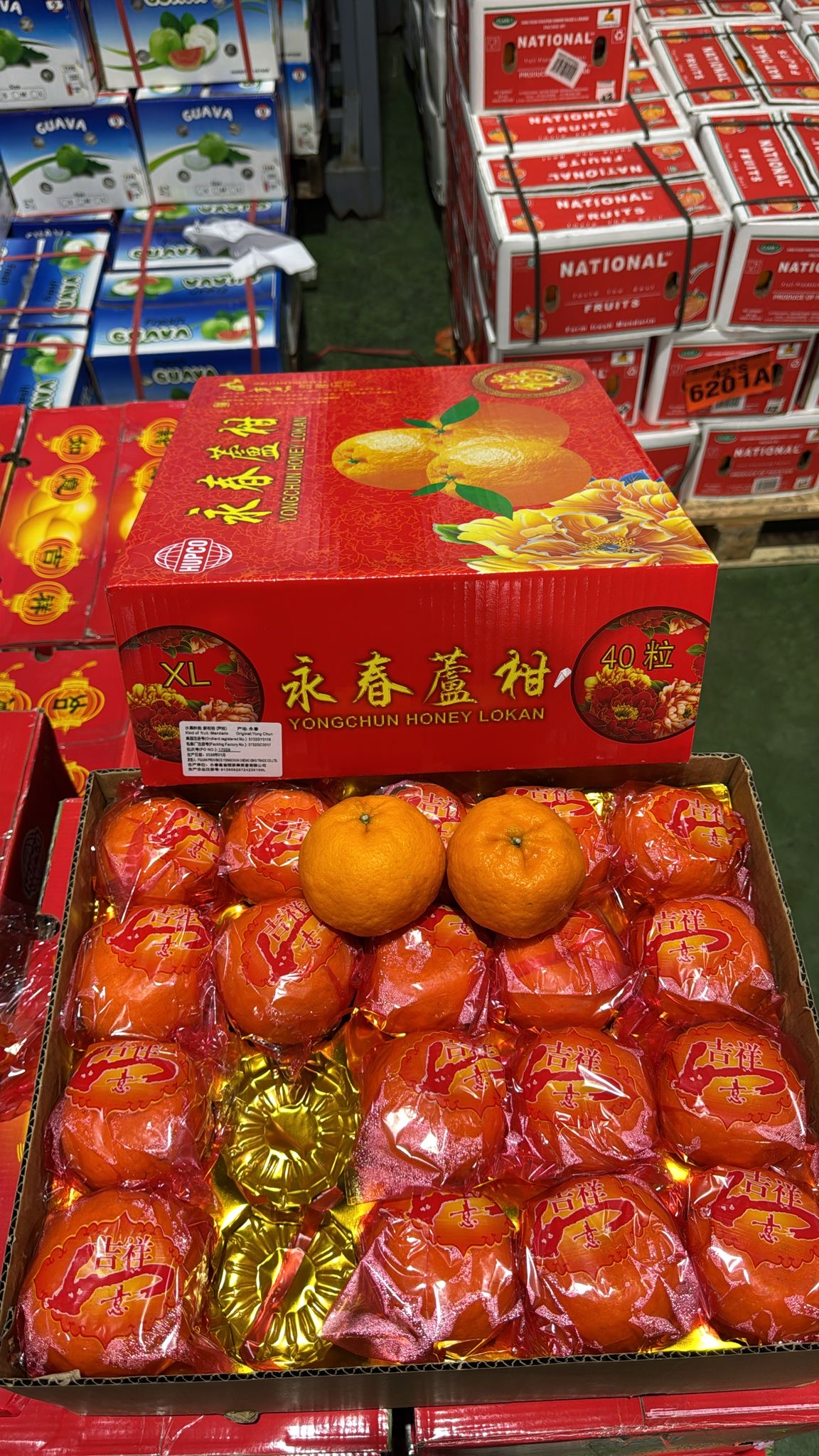 XL Size Yongchun Honey Lokan 双层 芦柑 40 Pcs