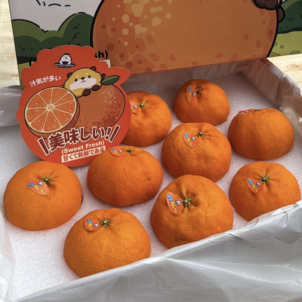China Kan Ping Mandarin 3KG