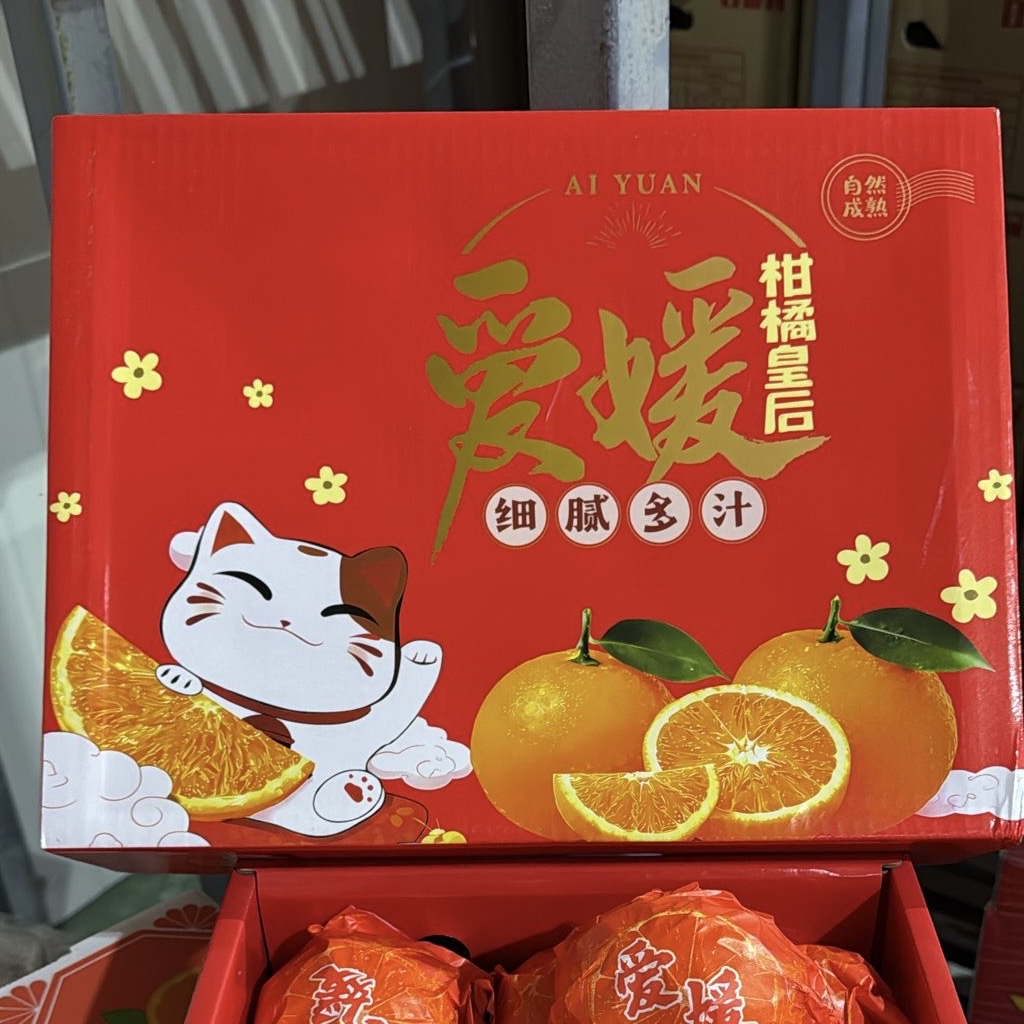 Ai Yuan Mandarin 3.5KG 爱媛 - Image 2