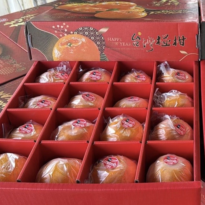 Taiwan Ponkan Mandarin 12/16 Pcs - Image 2