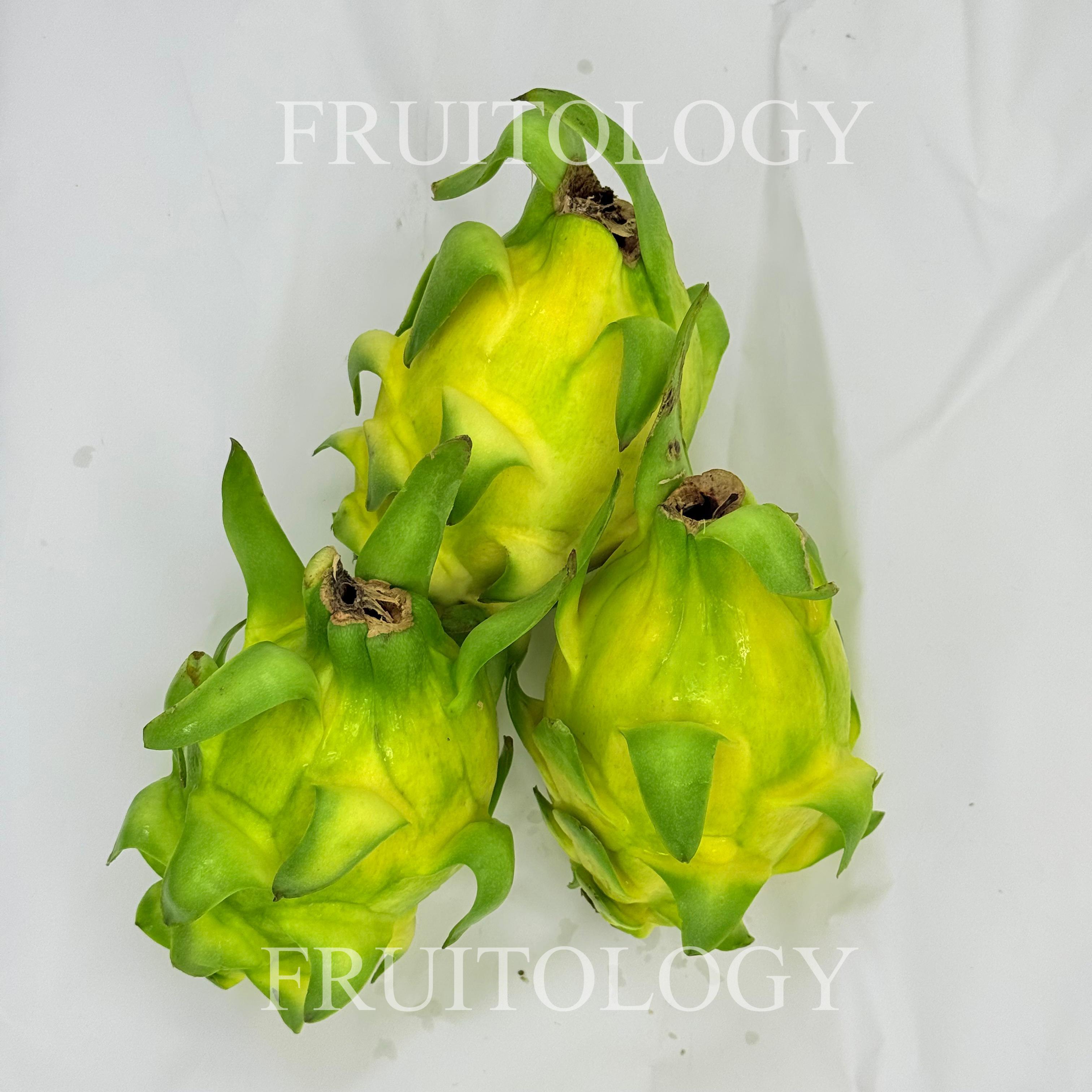 Exotic Yellow Dragon Fruit - Image 3