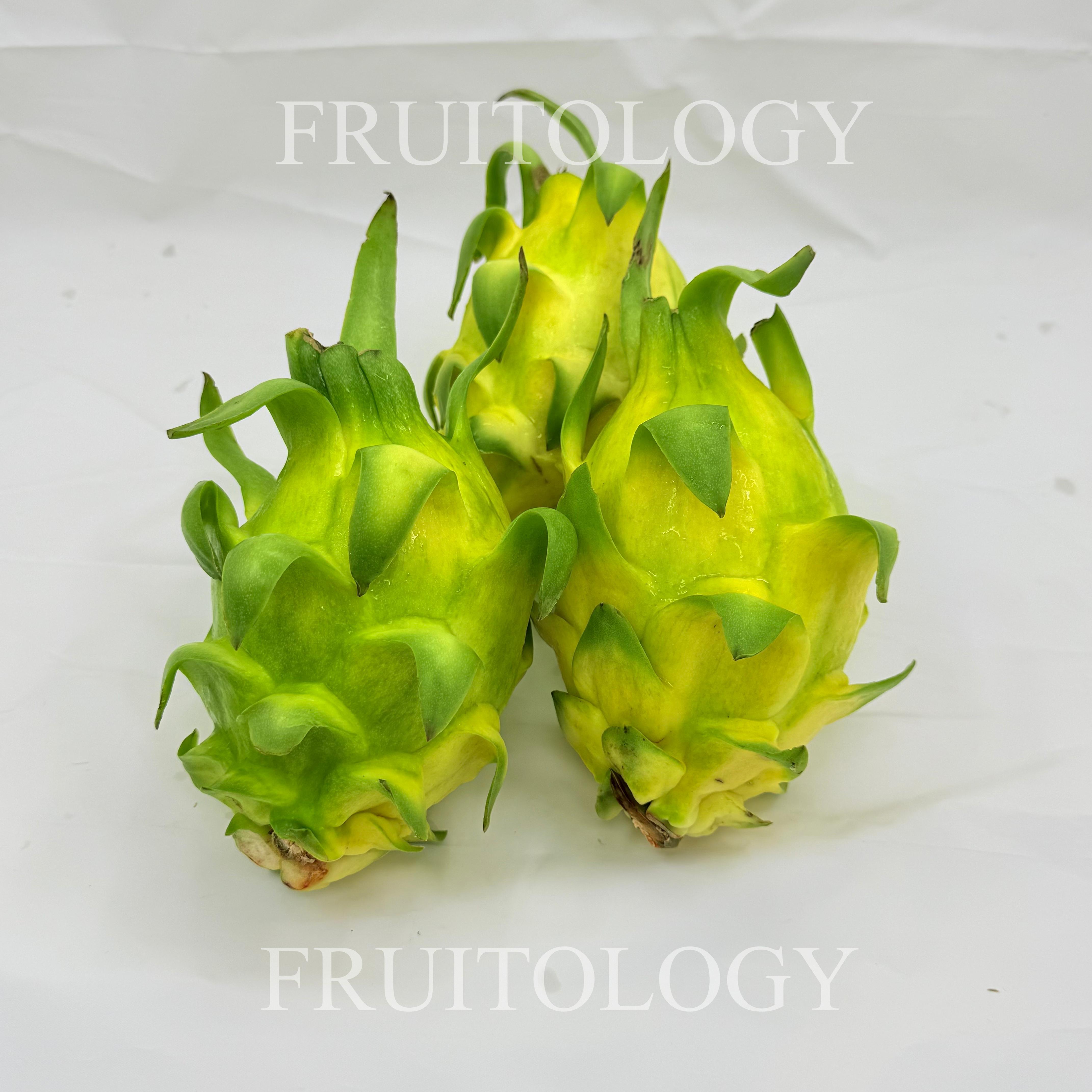 Exotic Yellow Dragon Fruit - Image 2