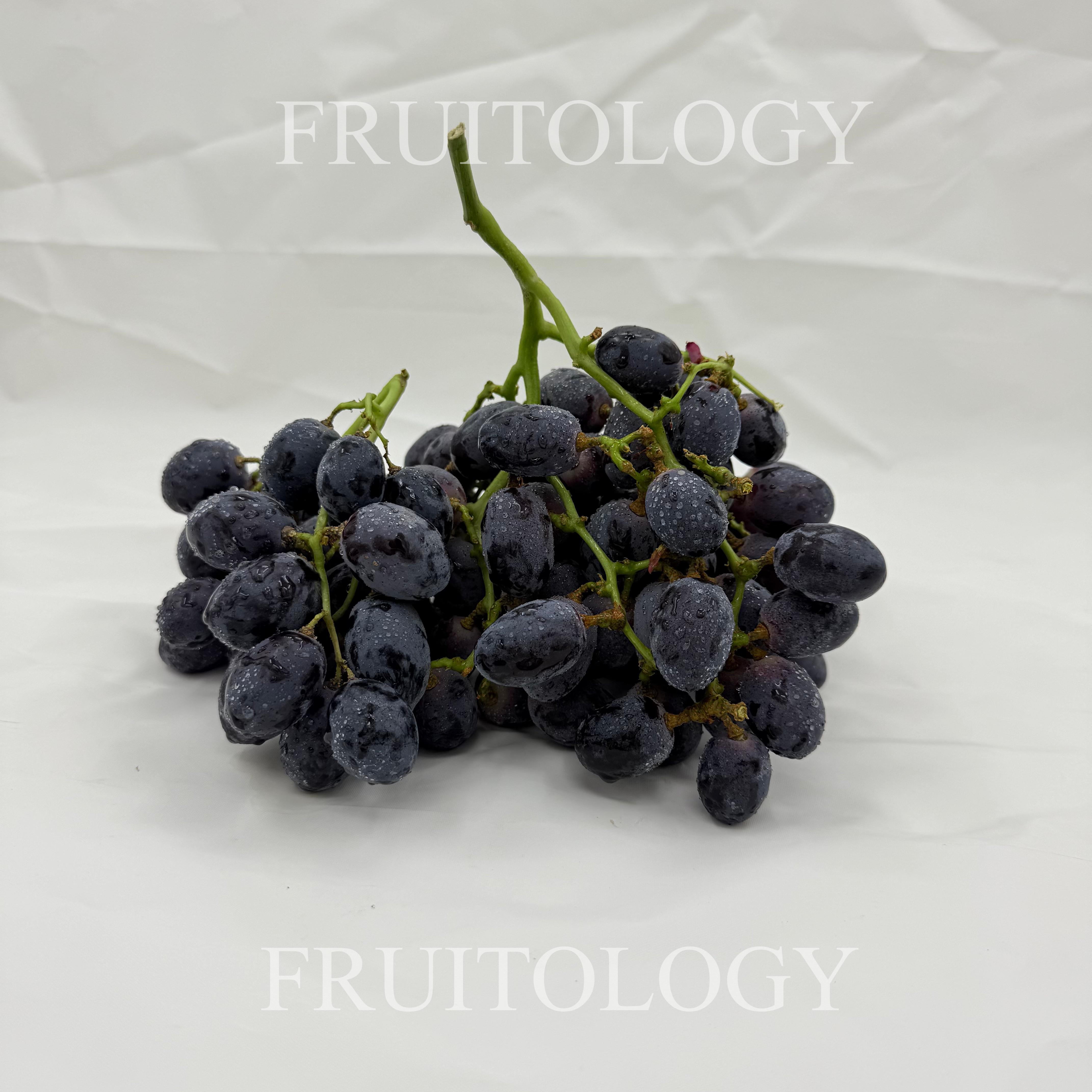 USA Autumn Royal Black SL Grapes - Image 5