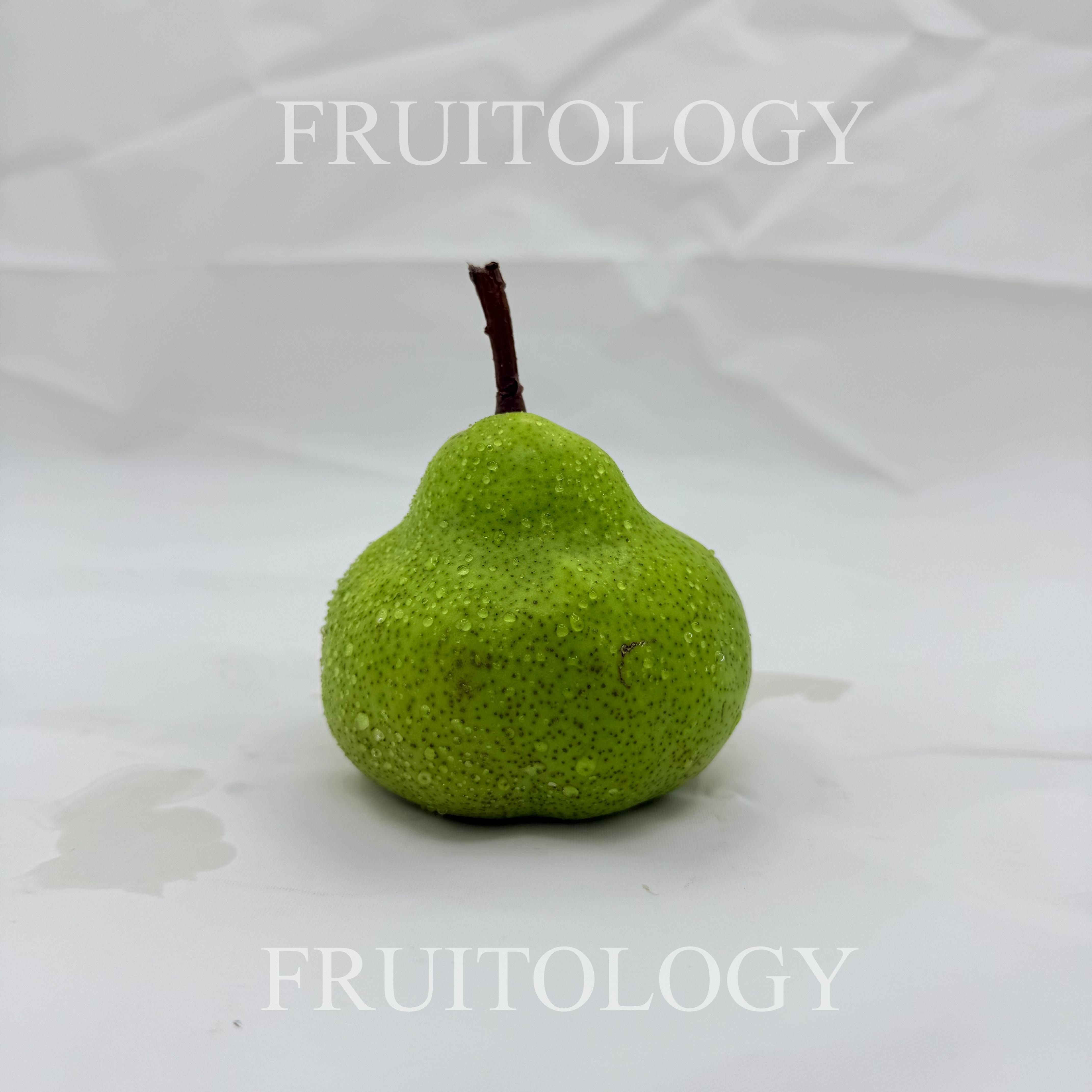 South African Packham Pear - Image 2