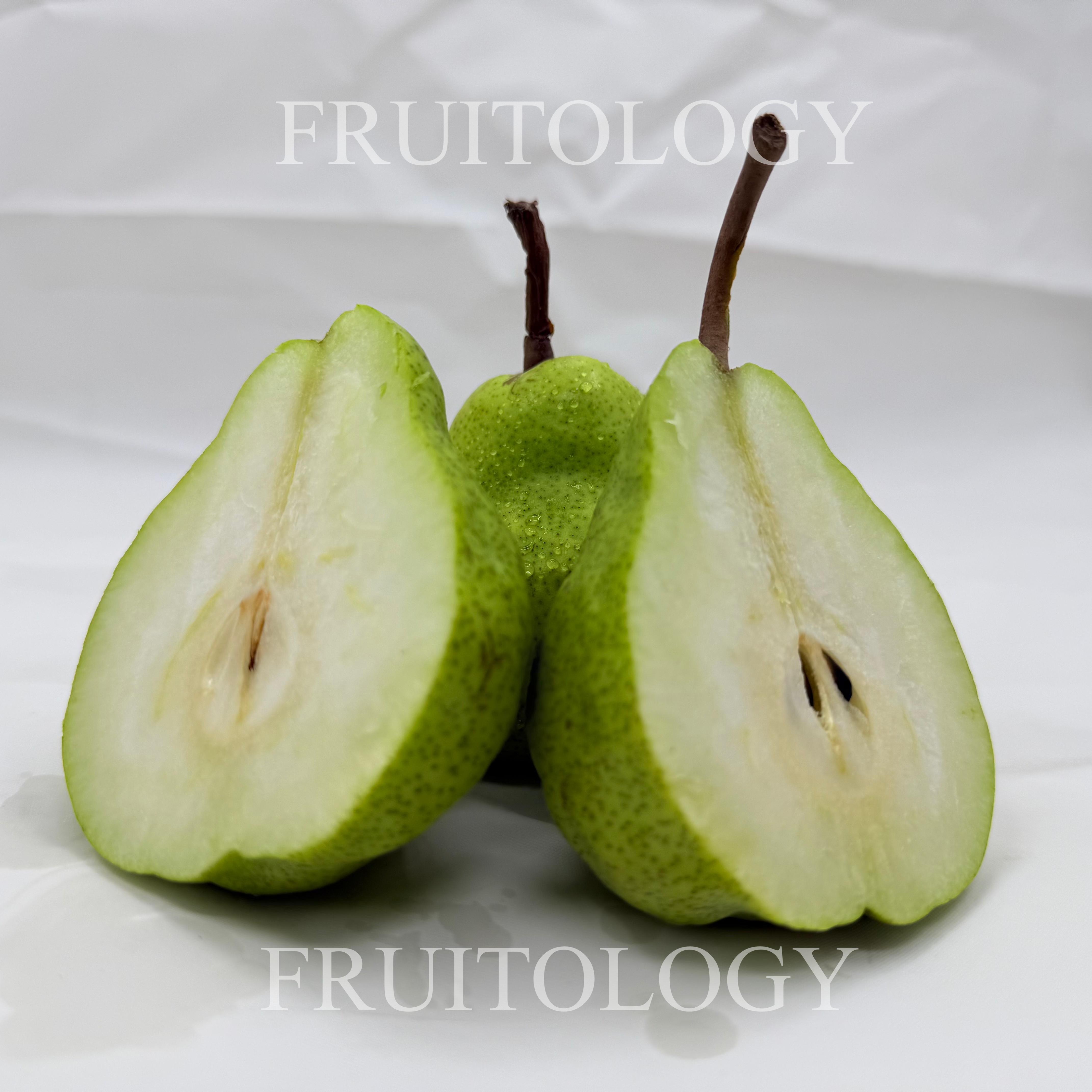 South African Packham Pear - Image 5