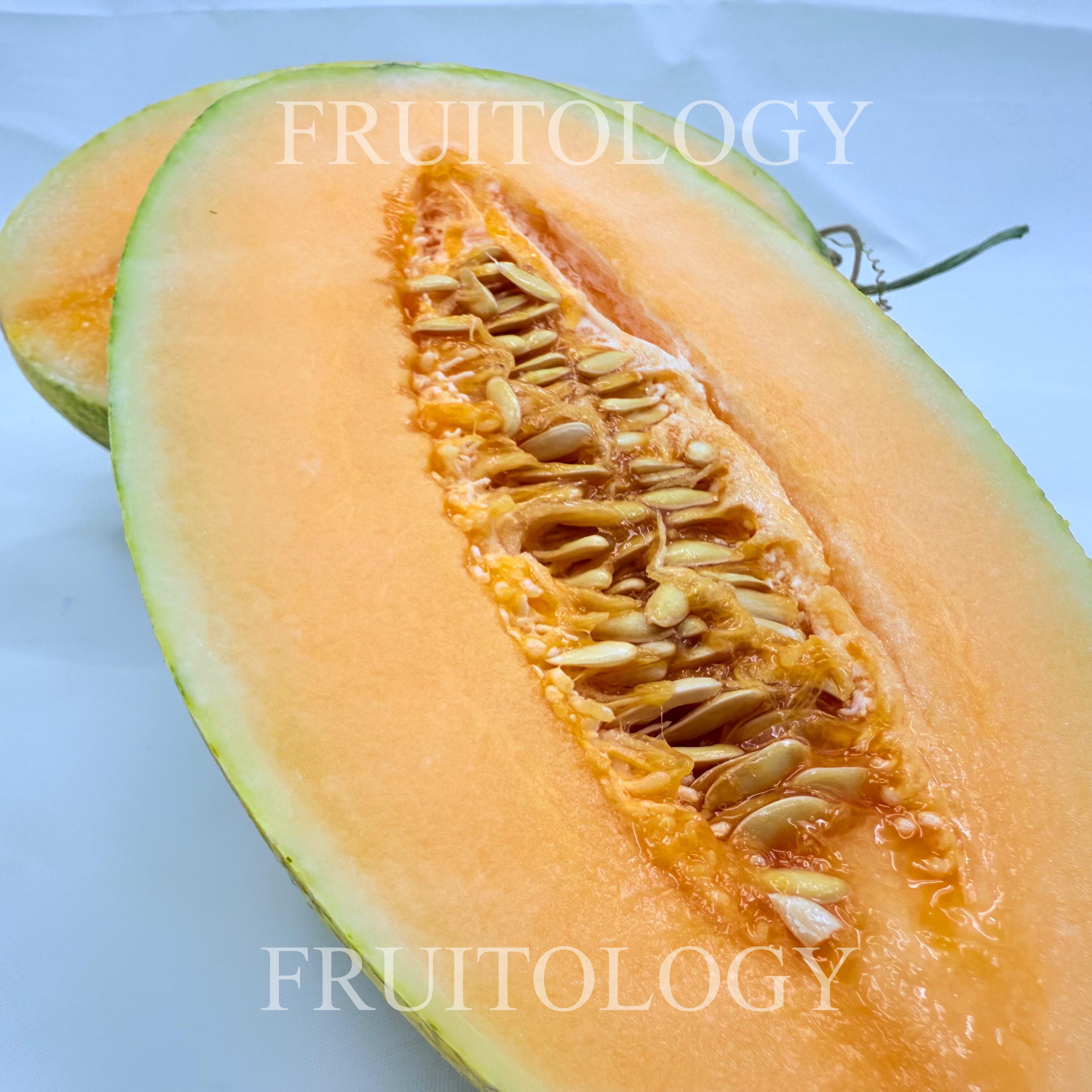 China Hami Melon - Image 3