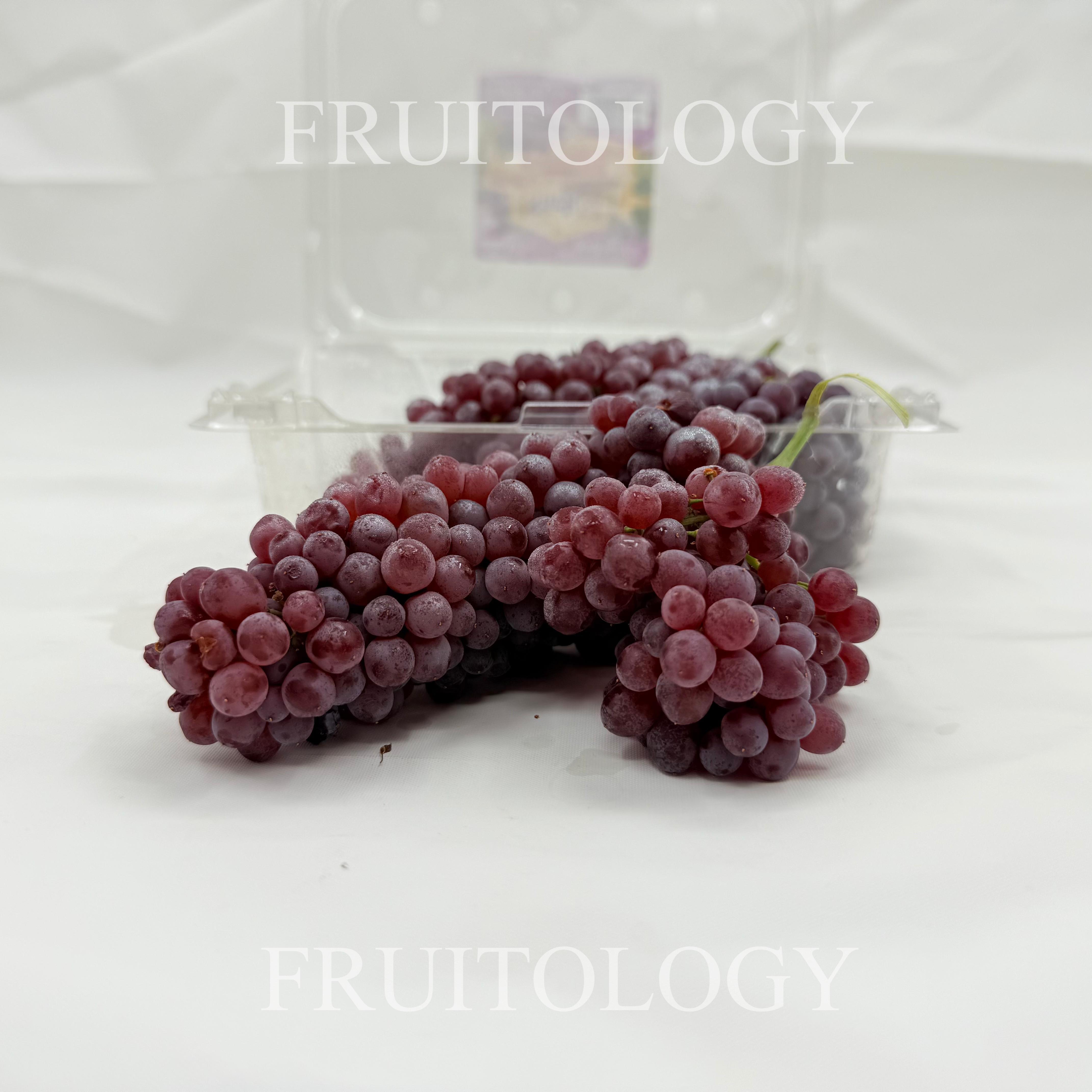 USA Champagne Grapes - Image 2