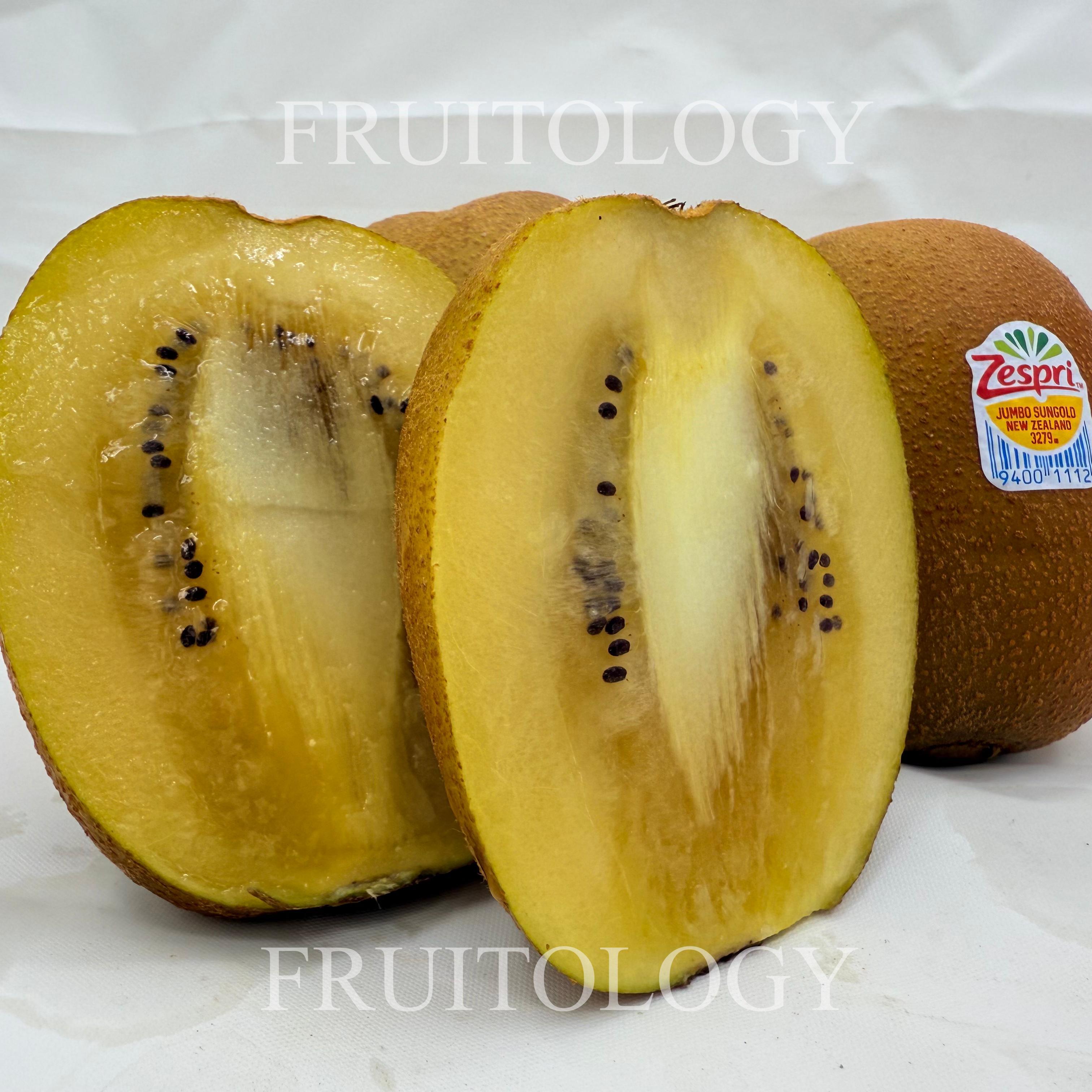 New Zealand Jumbo Sungold Kiwi - Image 2