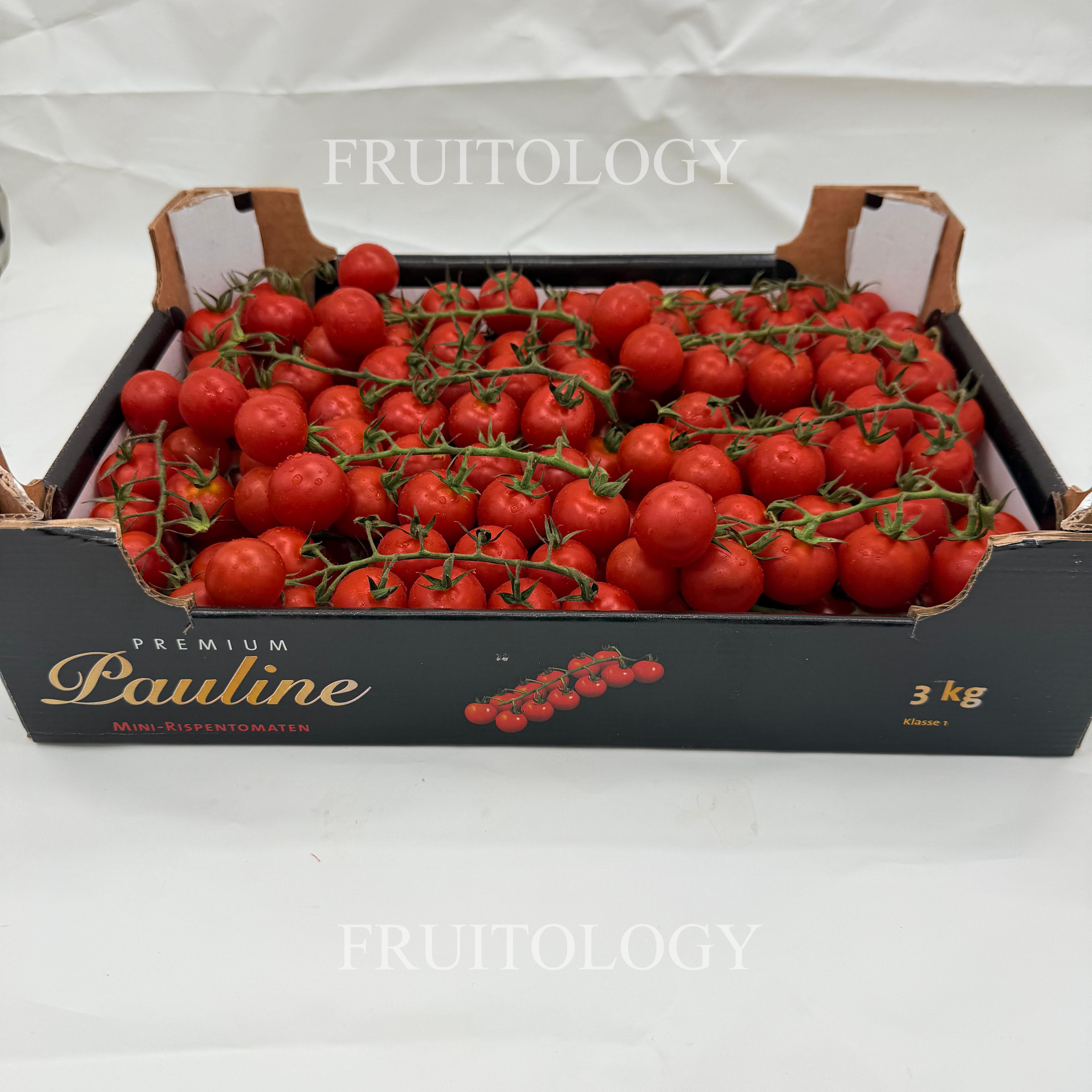 Holland Cherry Tomato - Image 4