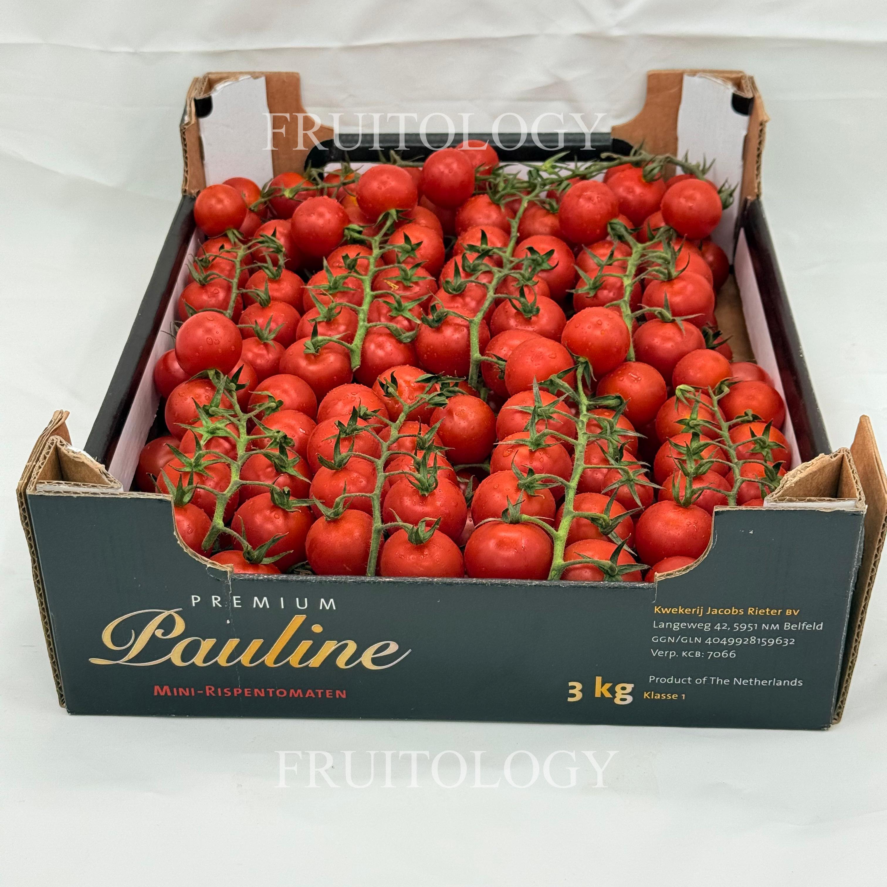 Holland Cherry Tomato - Image 2