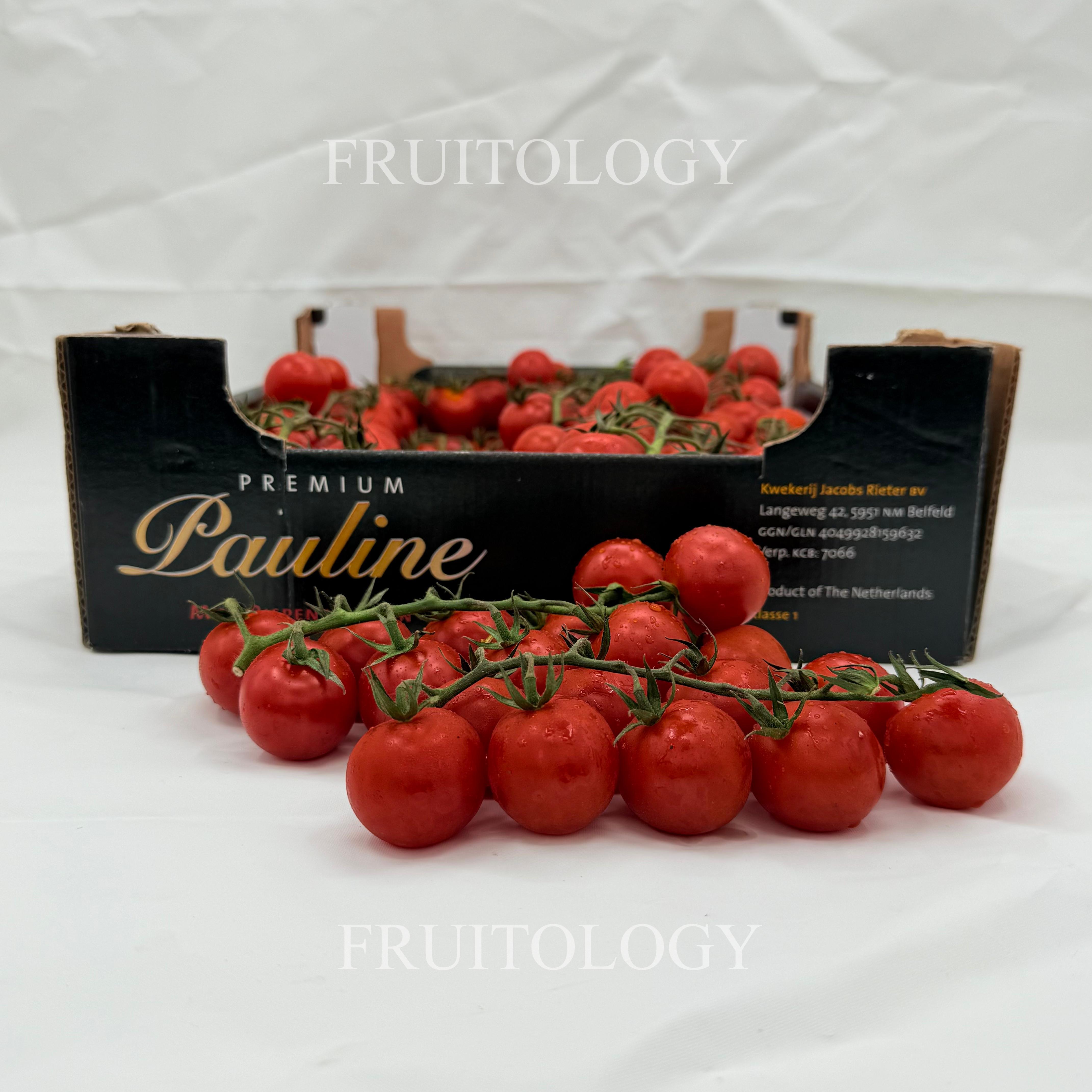 Holland Cherry Tomato - Image 3