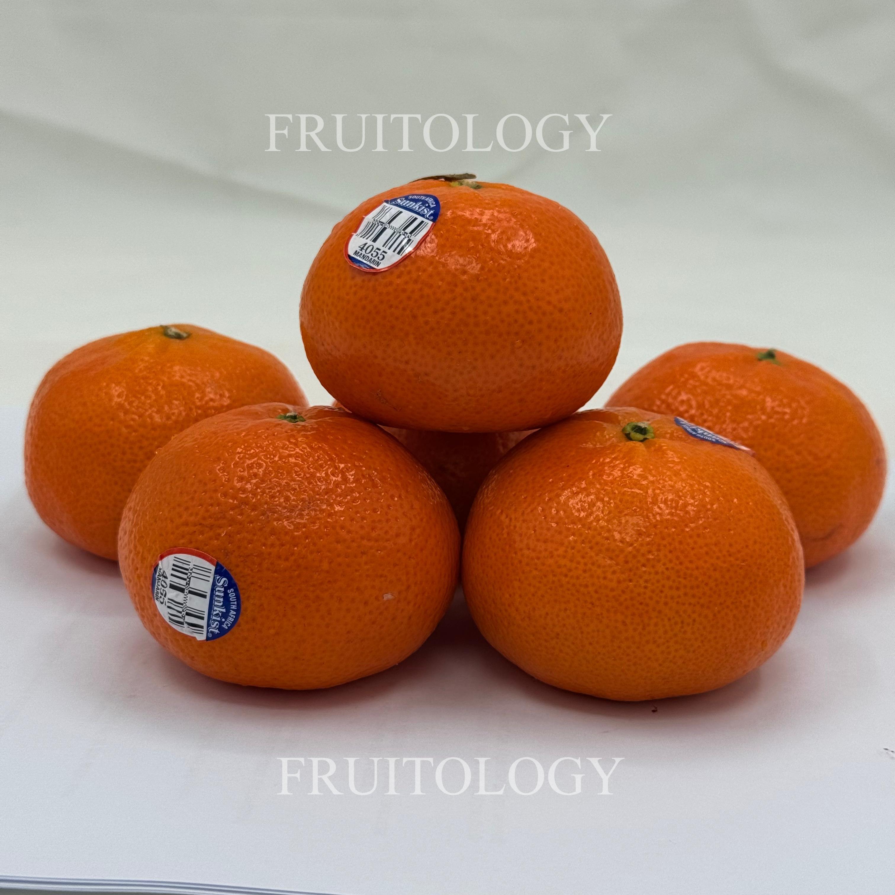 Sunkist Nadorcott Mandarin Orange from South Africa - Image 2