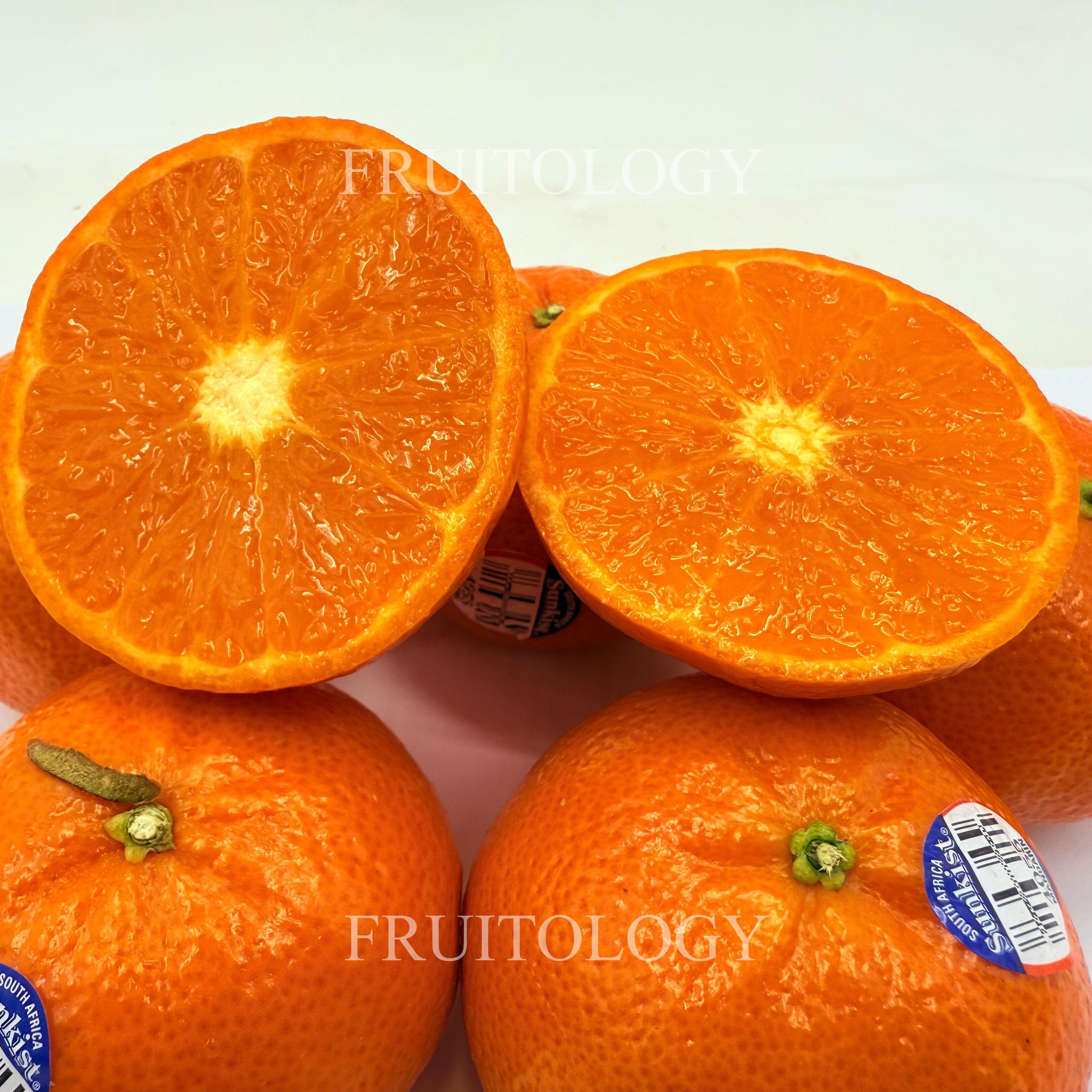 Sunkist Nadorcott Mandarin Orange from South Africa - Image 3