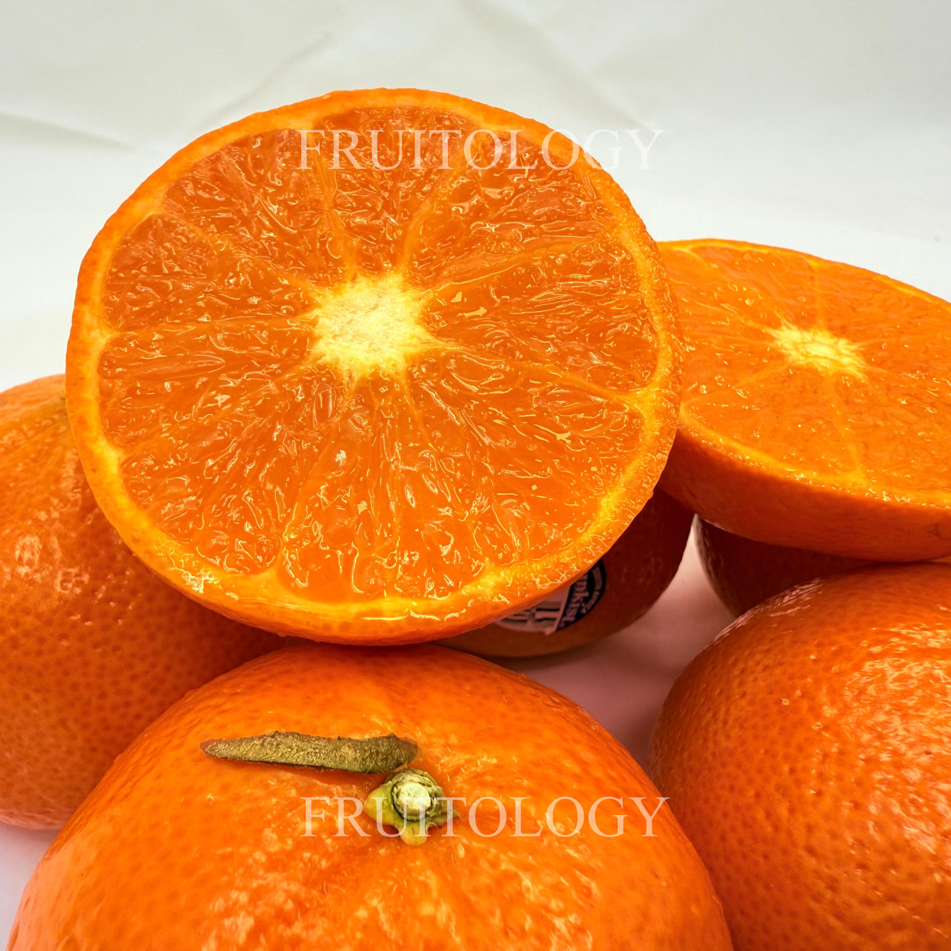 Sunkist Nadorcott Mandarin Orange from South Africa - Image 4