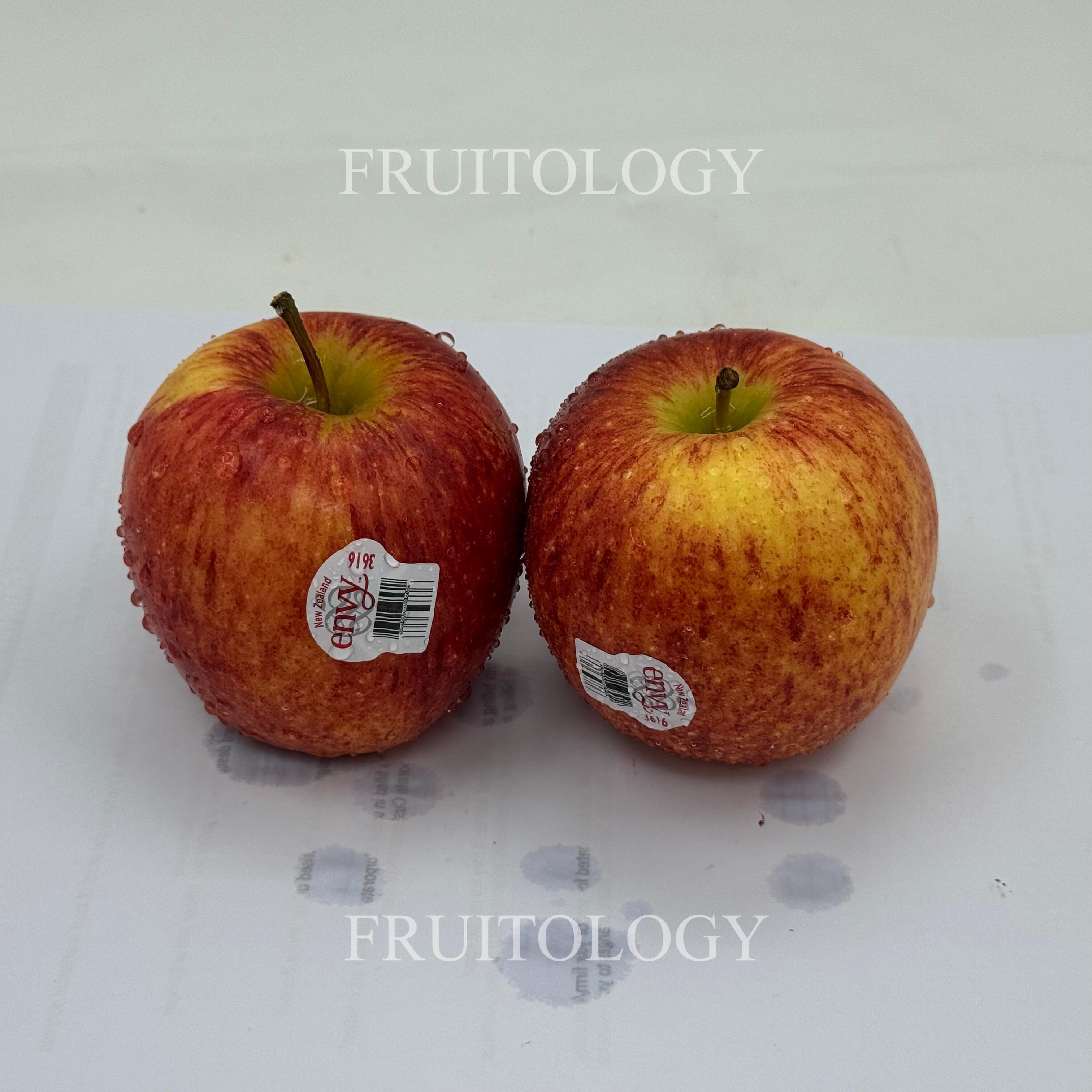 New Zealand Envy Apple - Image 2