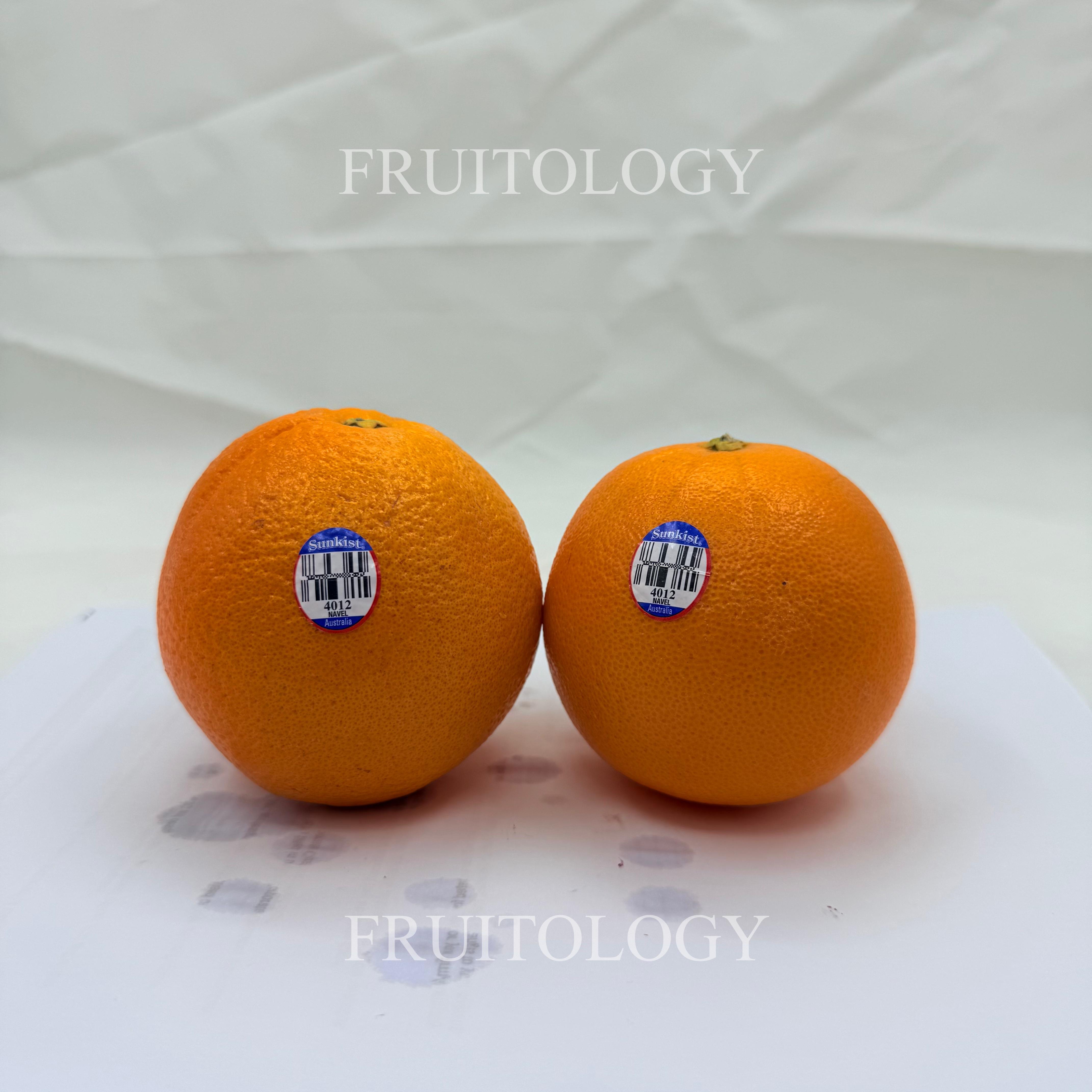 Australia Sunkist Navel Orange - Image 3