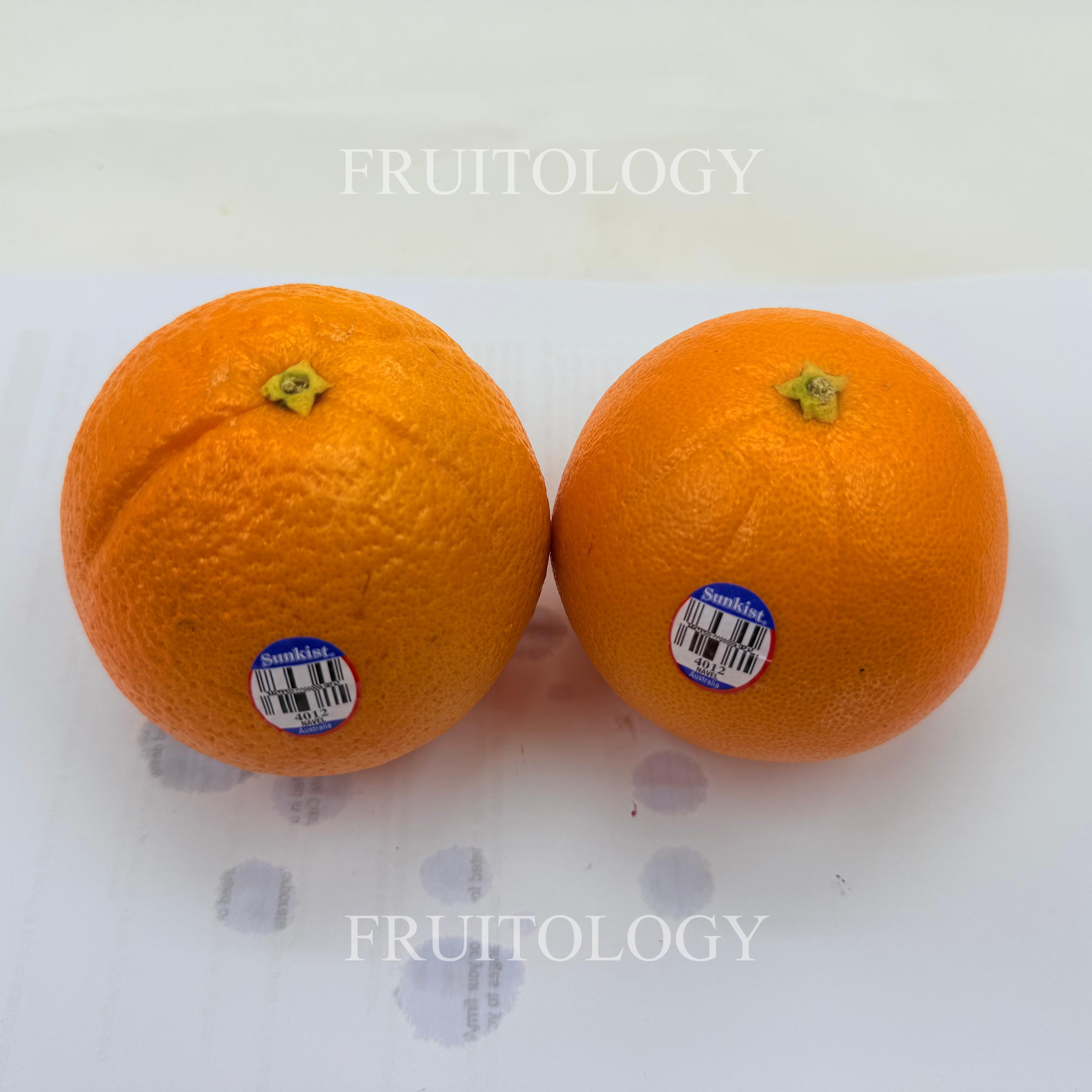 Australia Sunkist Navel Orange - Image 2