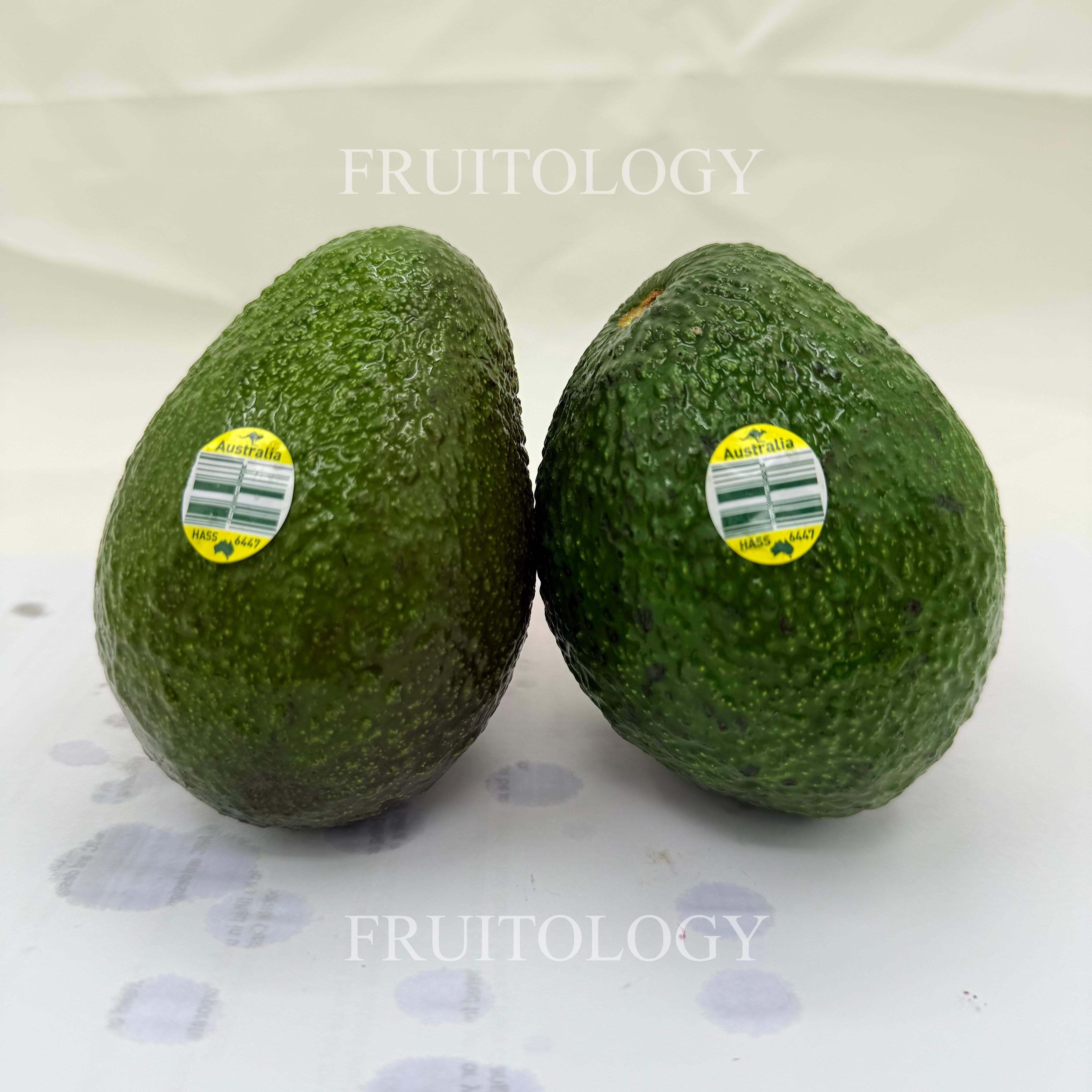 Large Haas Avocado (Australia) - Image 2