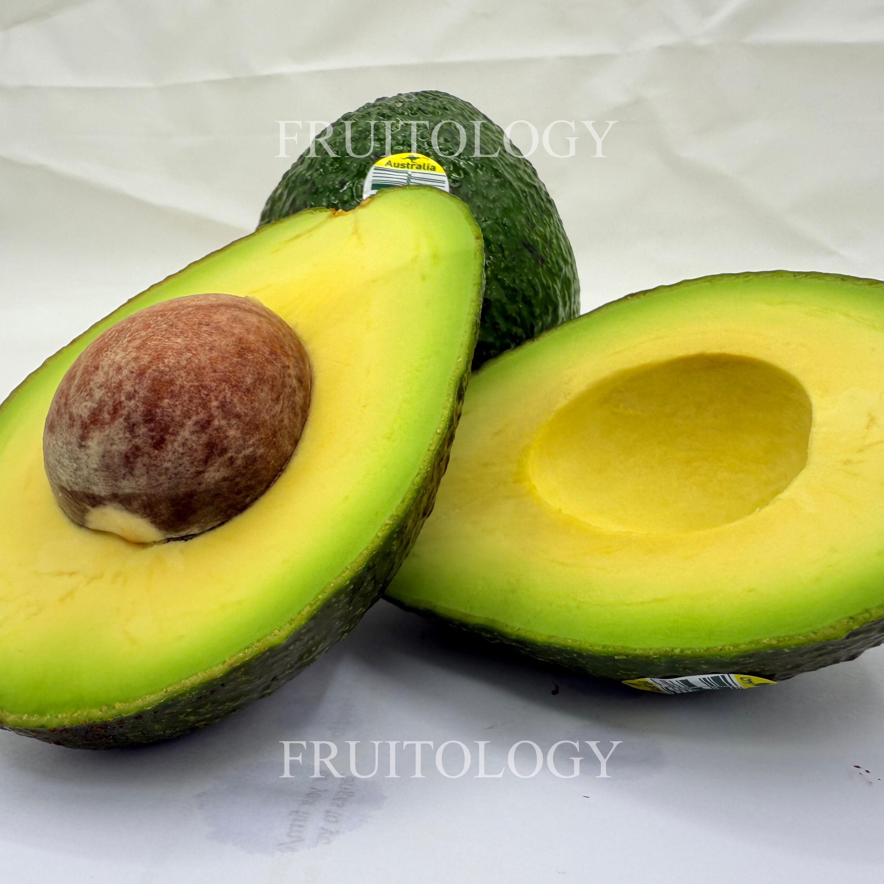 Large Haas Avocado (Australia) - Image 3
