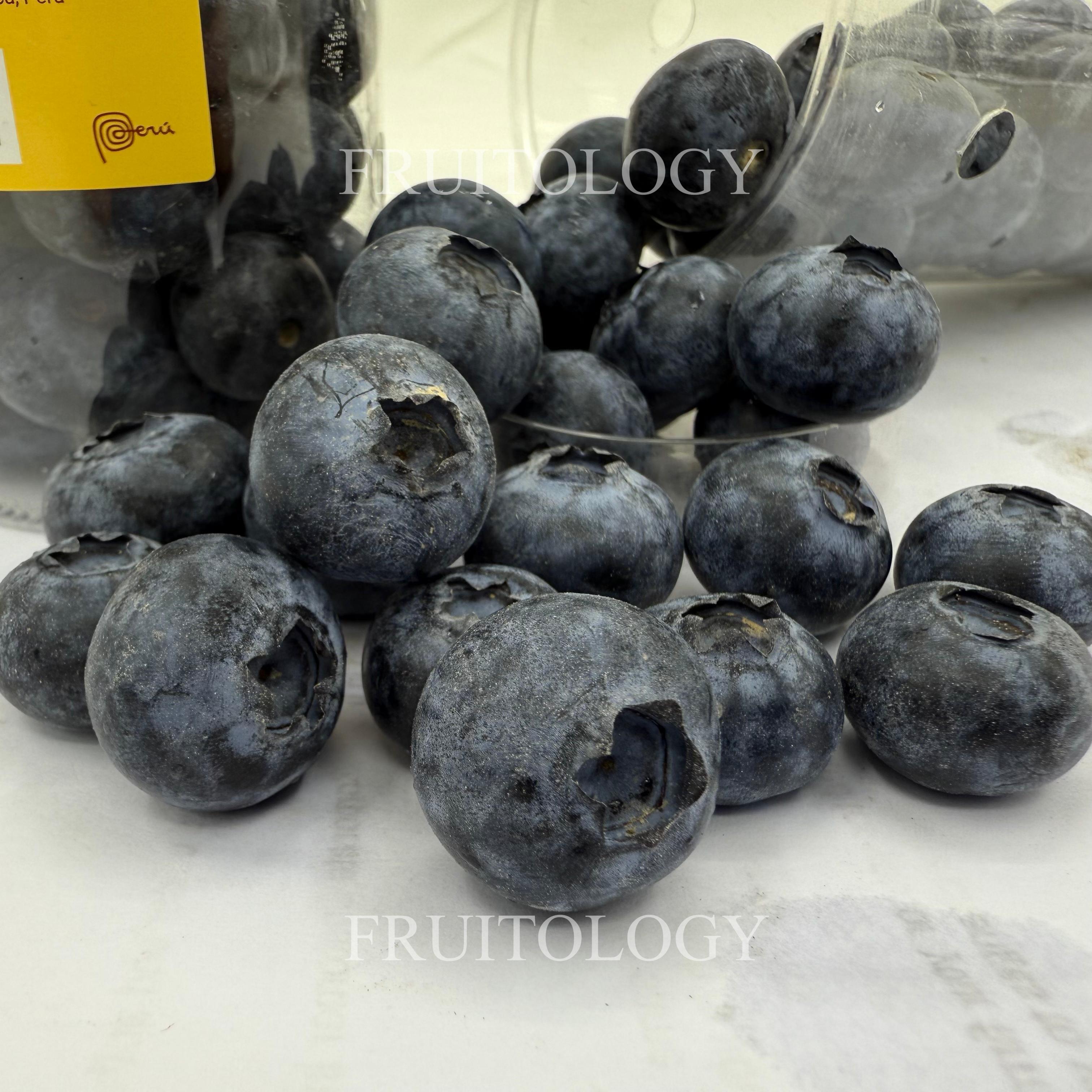 Peru Jumbo Blueberry - Image 2