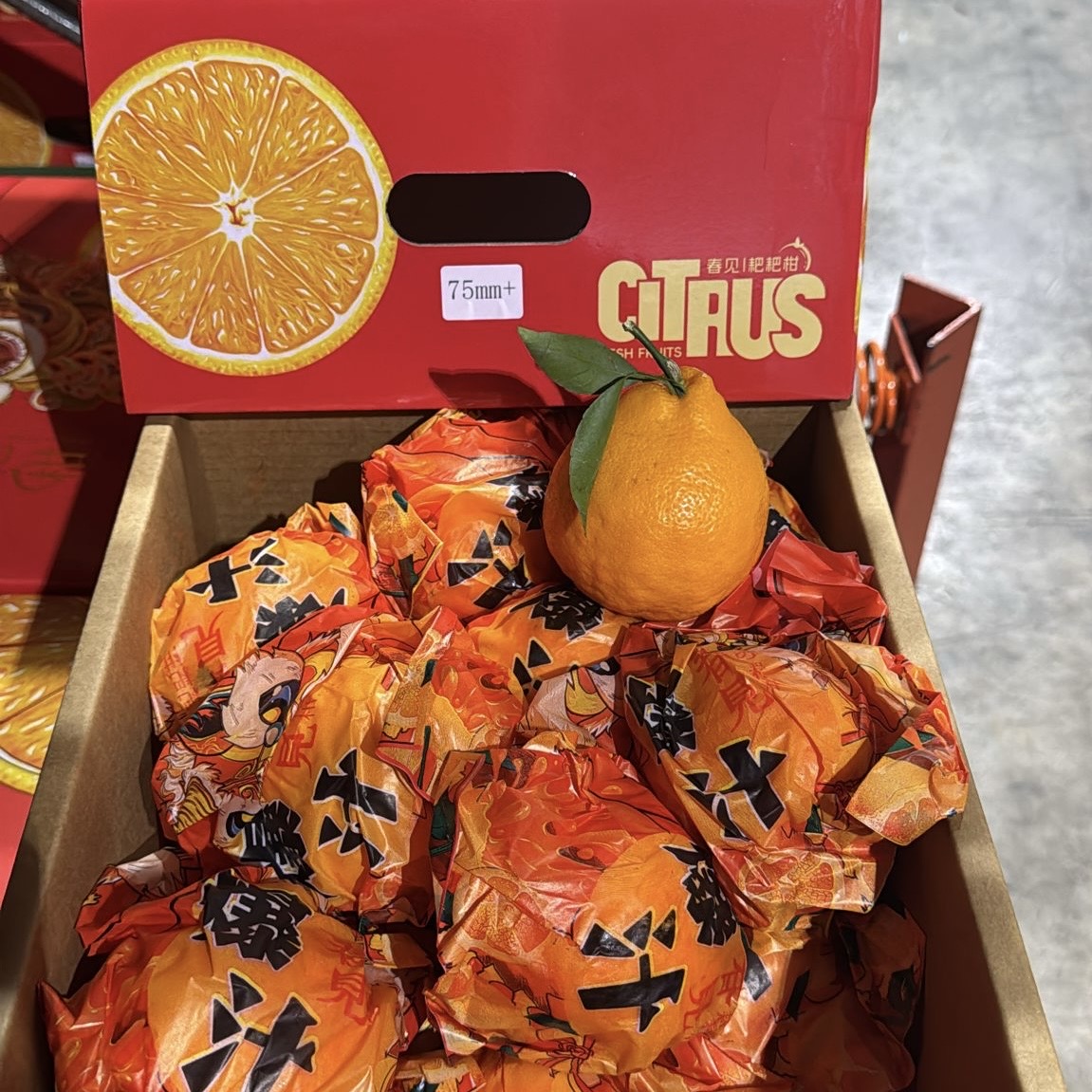 China Chun Jian Pa Pa Gan Mandarin 4KG - Image 3