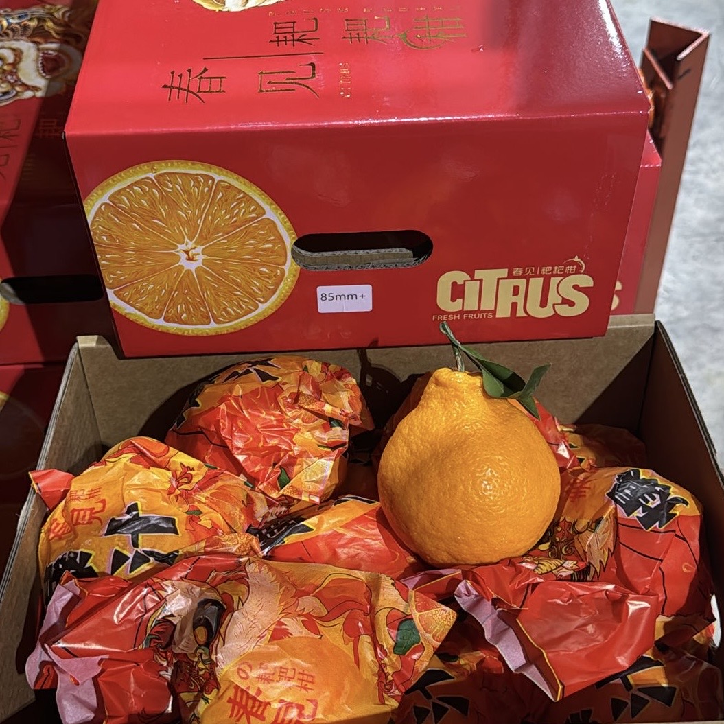 China Chun Jian Pa Pa Gan Mandarin 4KG - Image 4