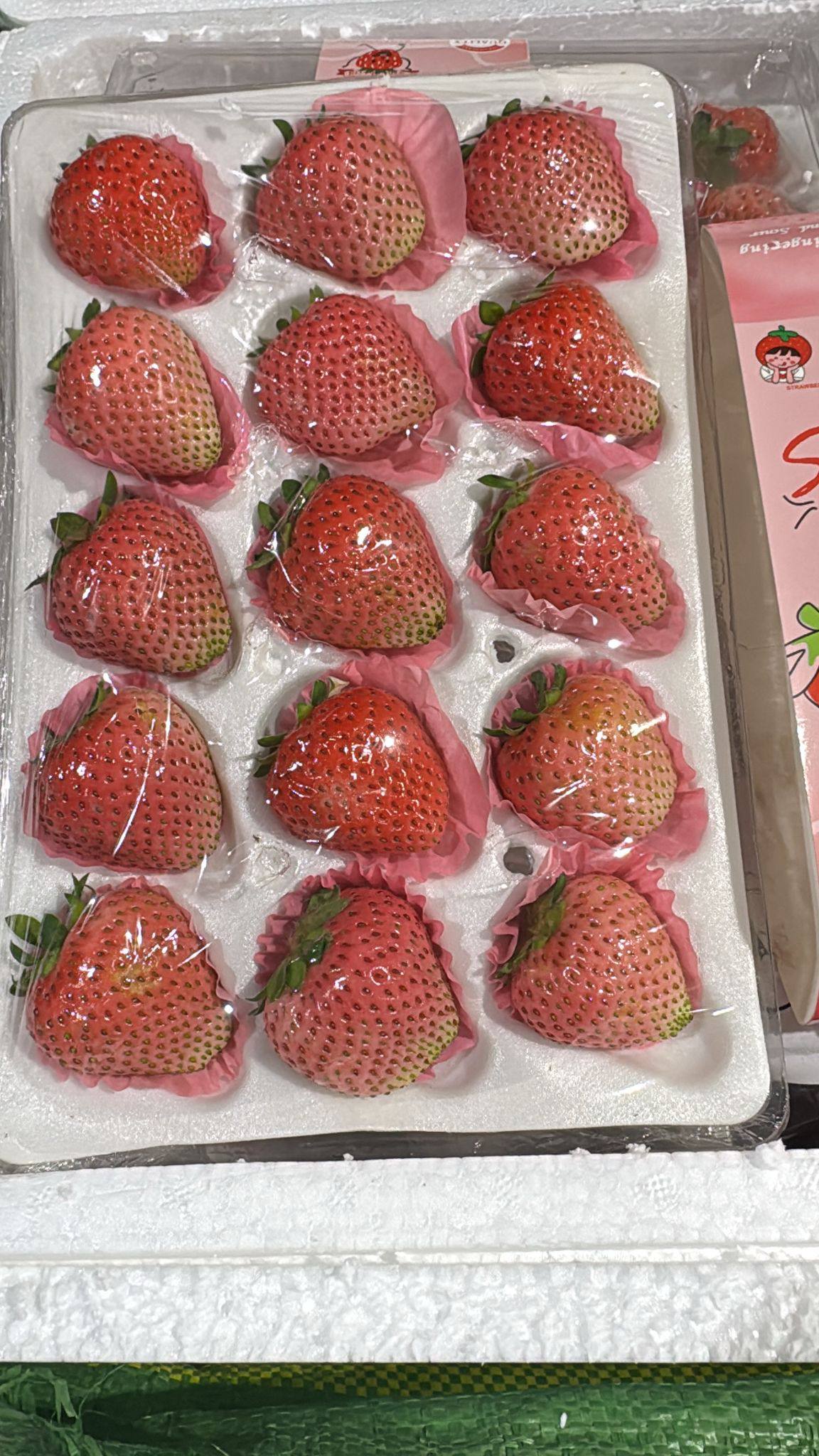 Korea Strawberry